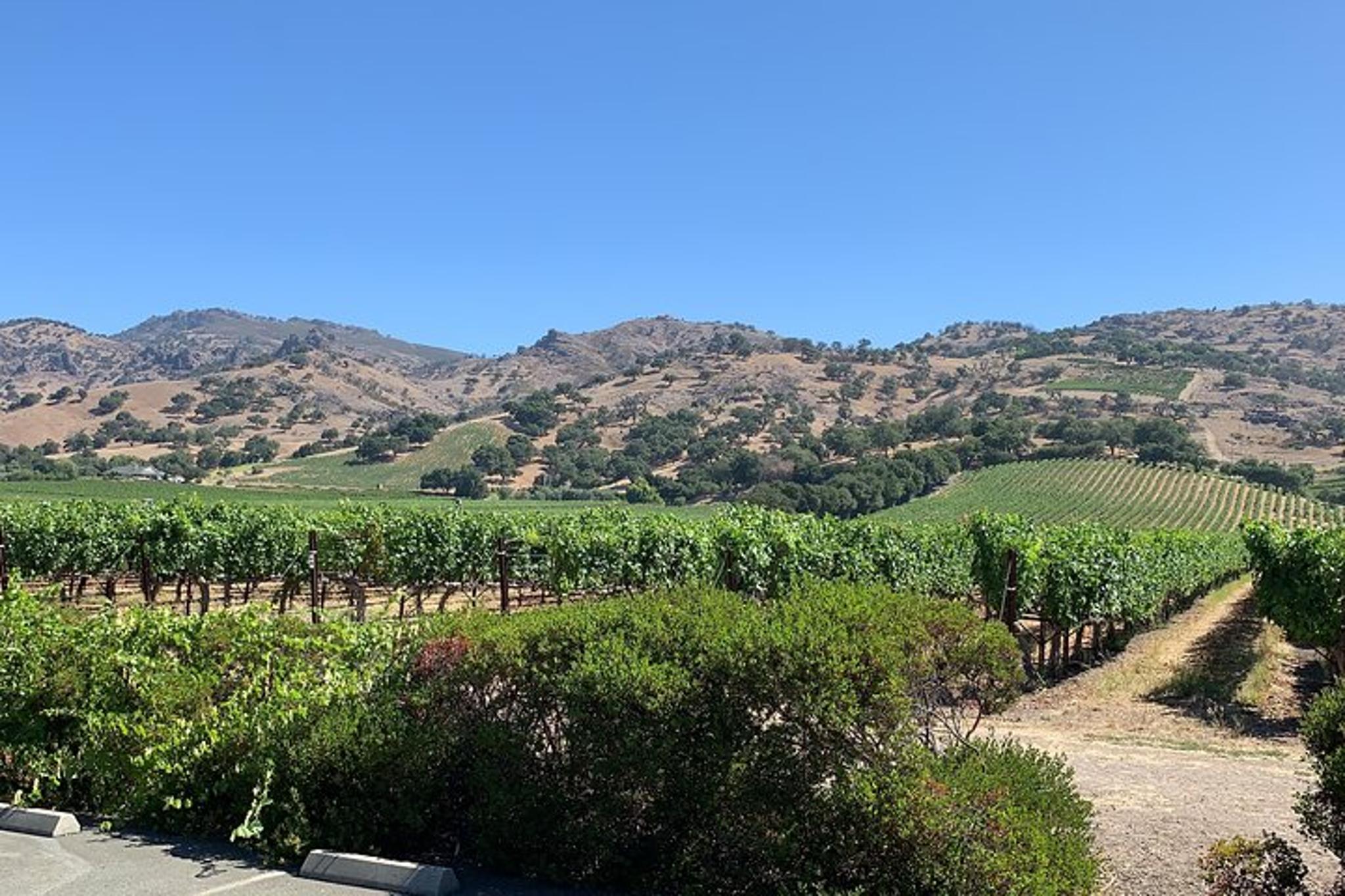 Napa & Sonoma Wine Tour 8 hr Private SUV - Image 6