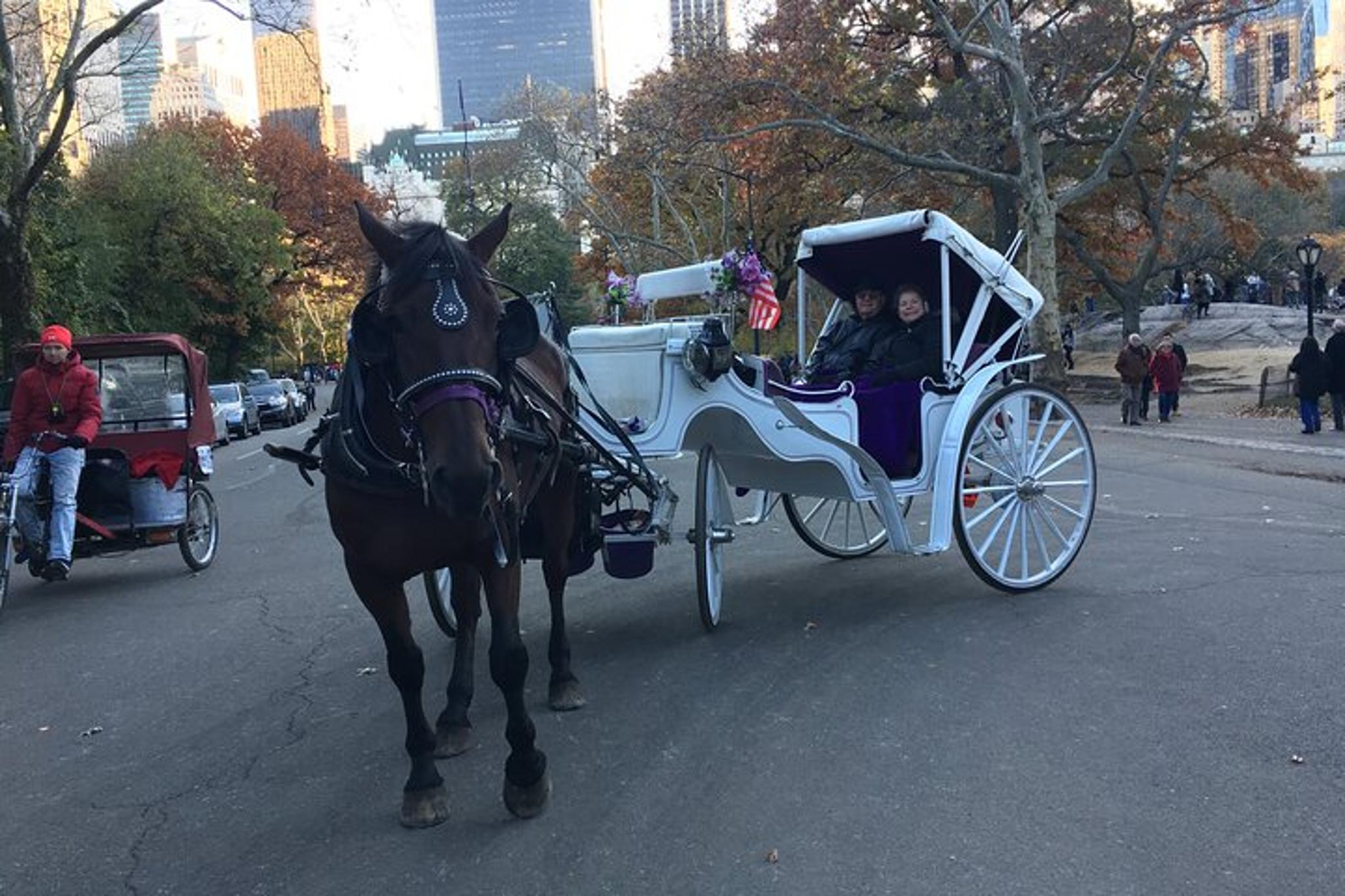 New York City Central Park Horse and Carriage Ride - Image 6