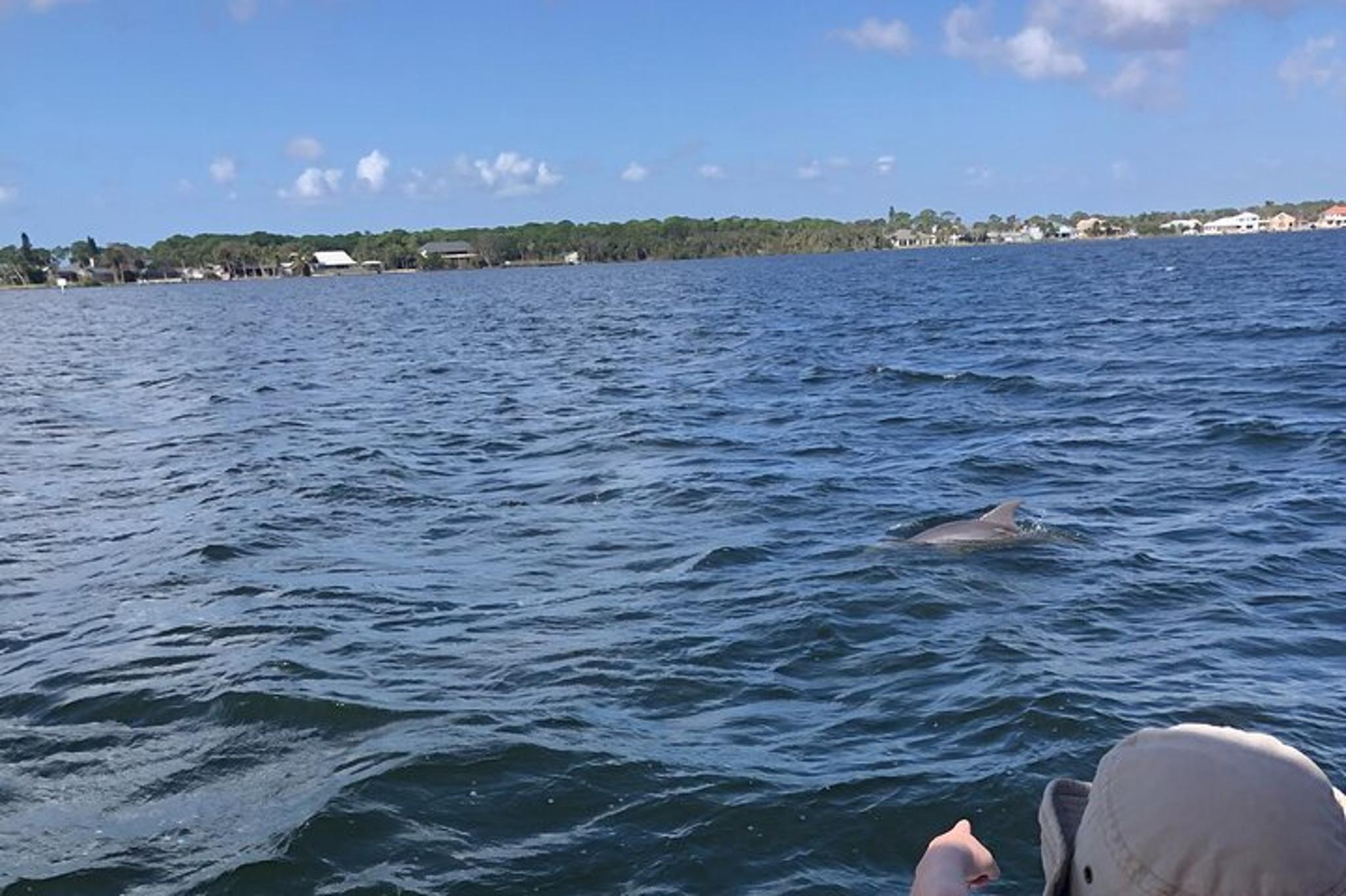 Cocoa Beach Dolphin Catamaran Sail - Image 3