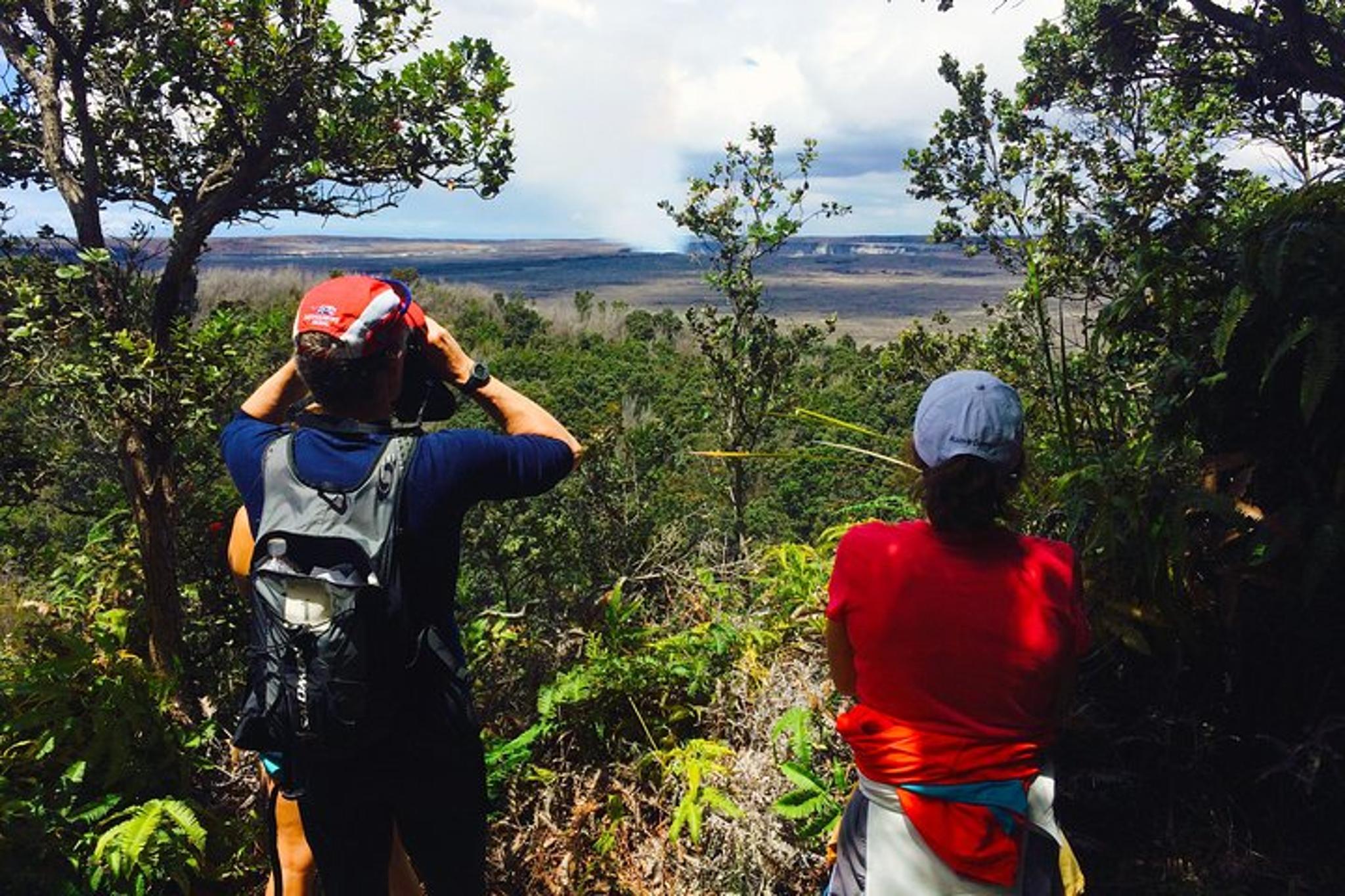 Hawaii Volcanoes National Park Eco Tour - Image 2