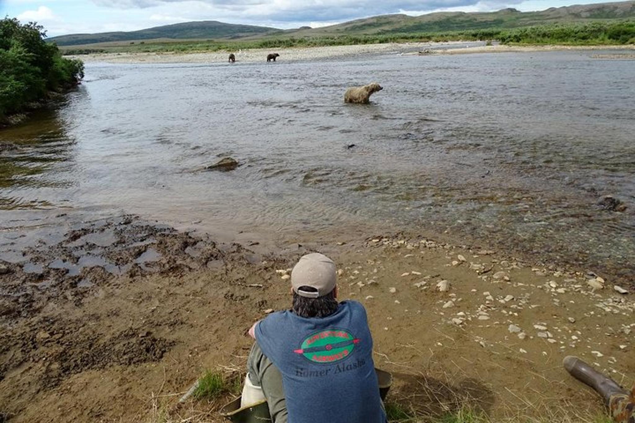 Homer Bear-Viewing Day Trip - Image 2