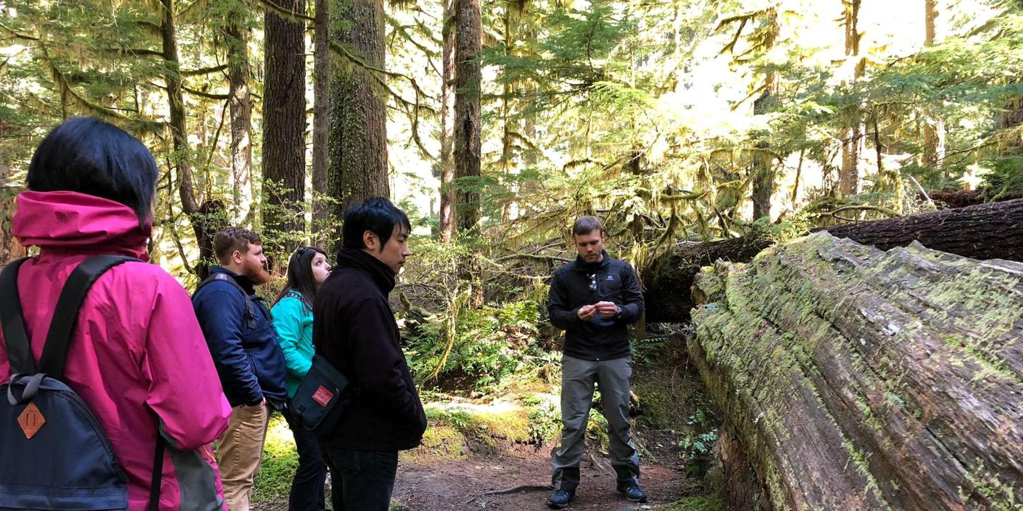 Seattle Longmire Winter Day Tour on Mount Rainier - Image 2