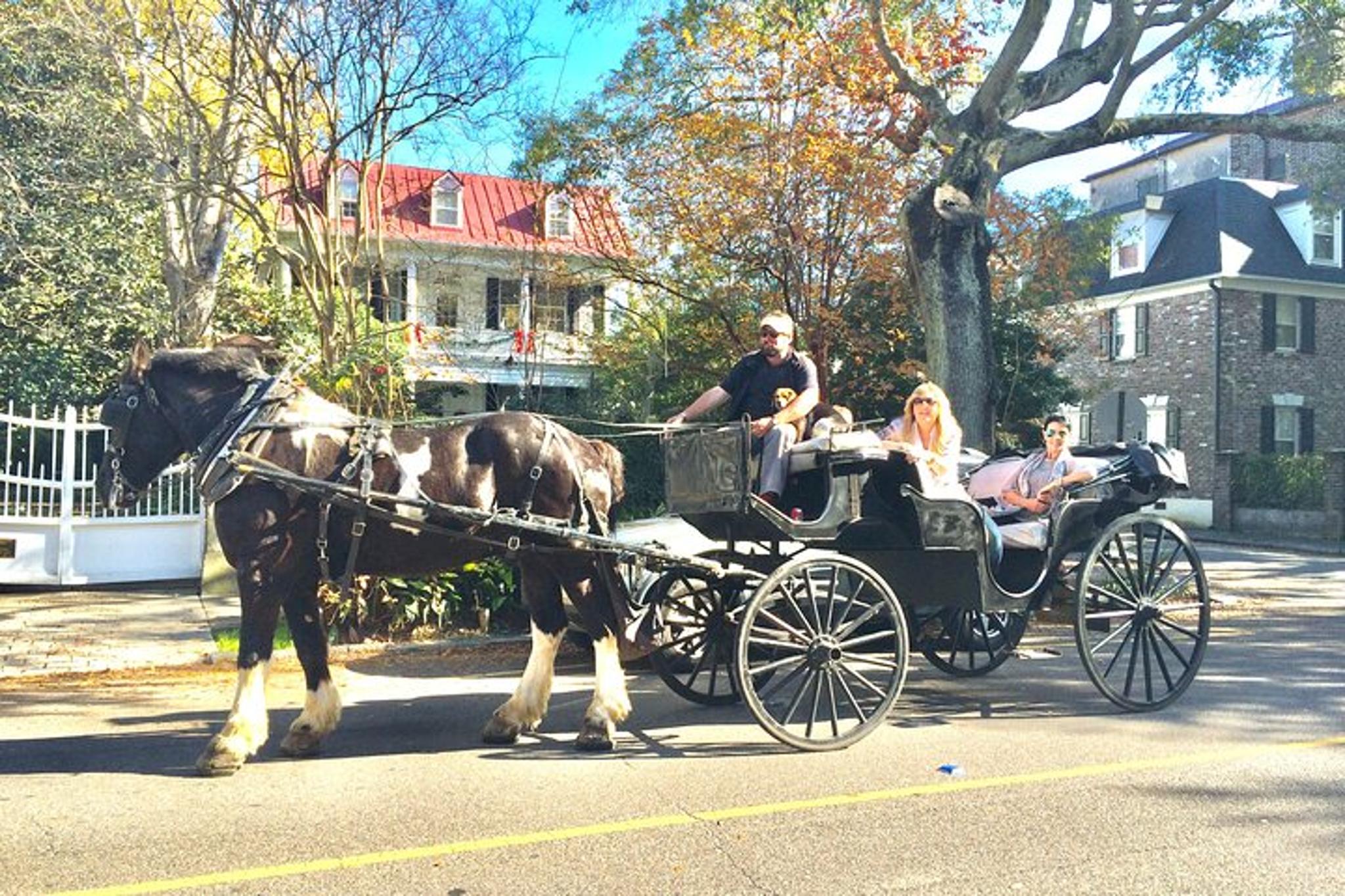 Charleston Horse & Carriage Tour - Image 2