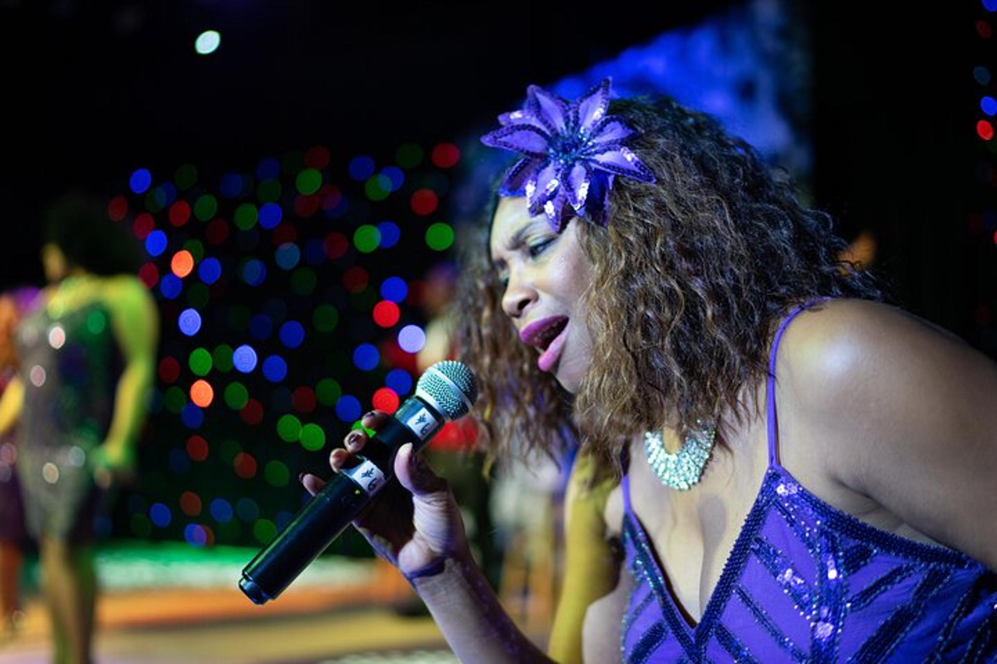 Myrtle Beach Motown Christmas Tribute Show 2 hr - Image 4