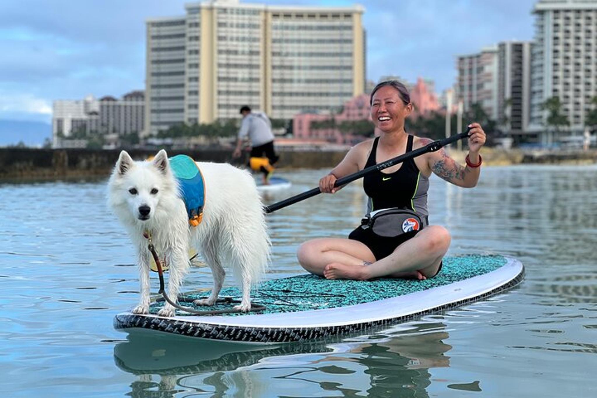 Honolulu Paddle Board with Rescue Dogs 90 min - Image 1