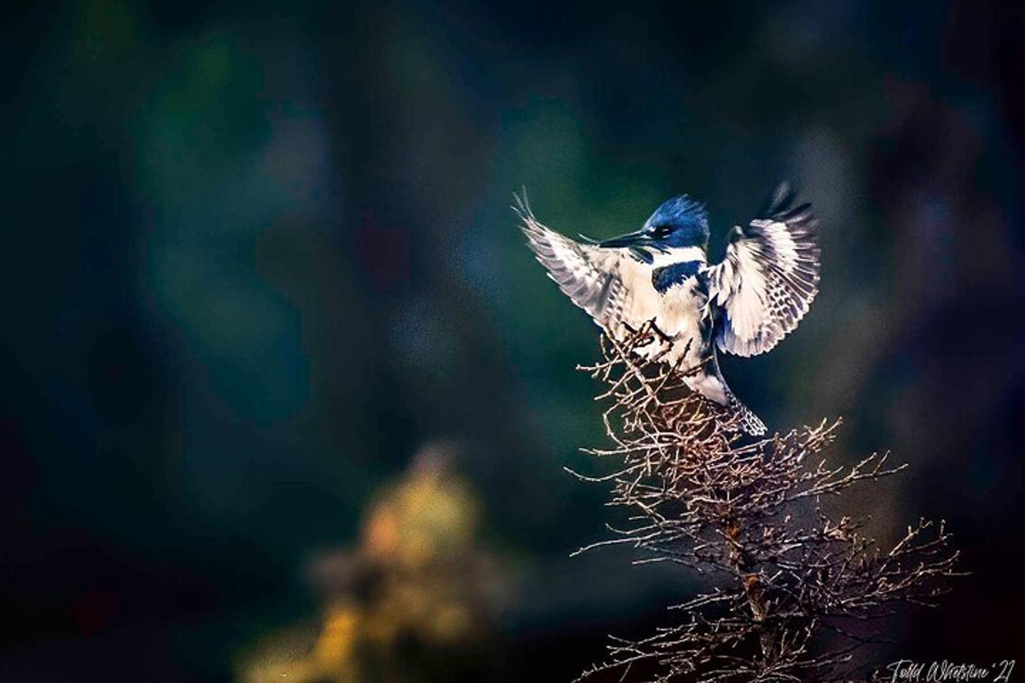 Fairbanks Photography Workshop - Image 1