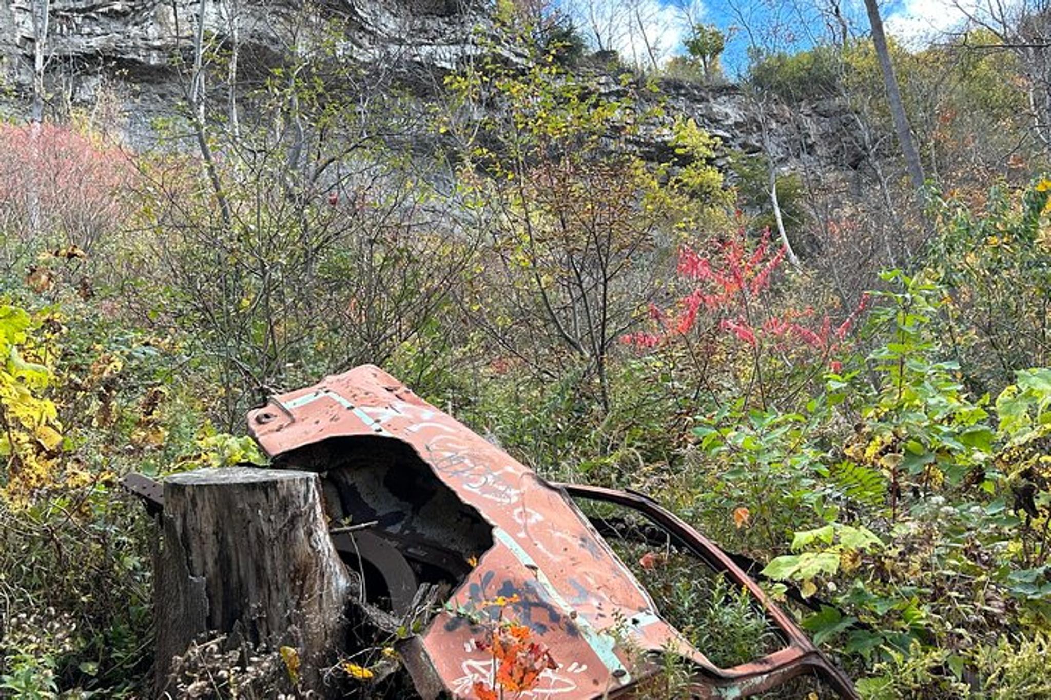 Niagara River Gorge Hiking Tour - Image 5