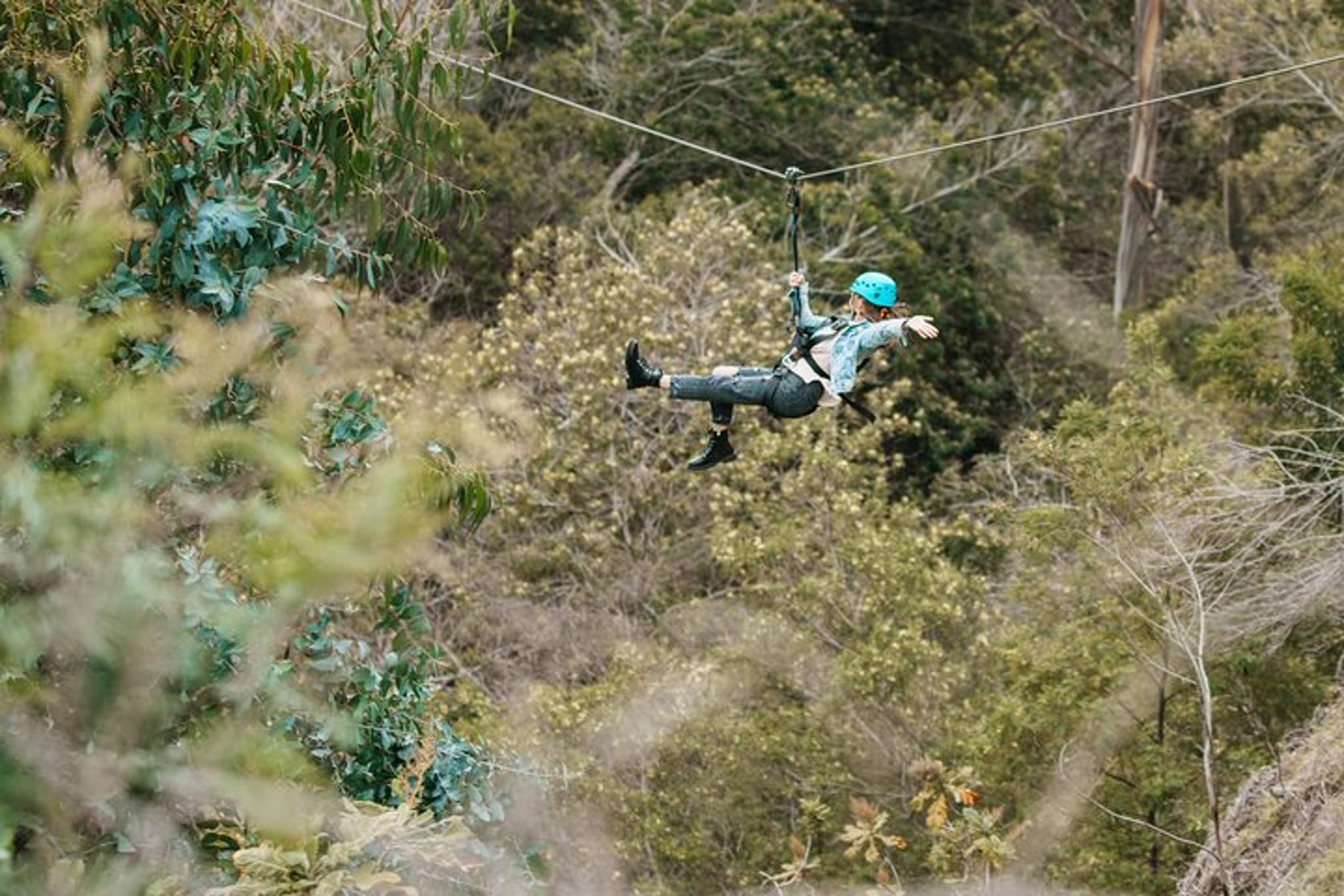 Haleakala National Park Sunrise and Zipline Tour - Image 6
