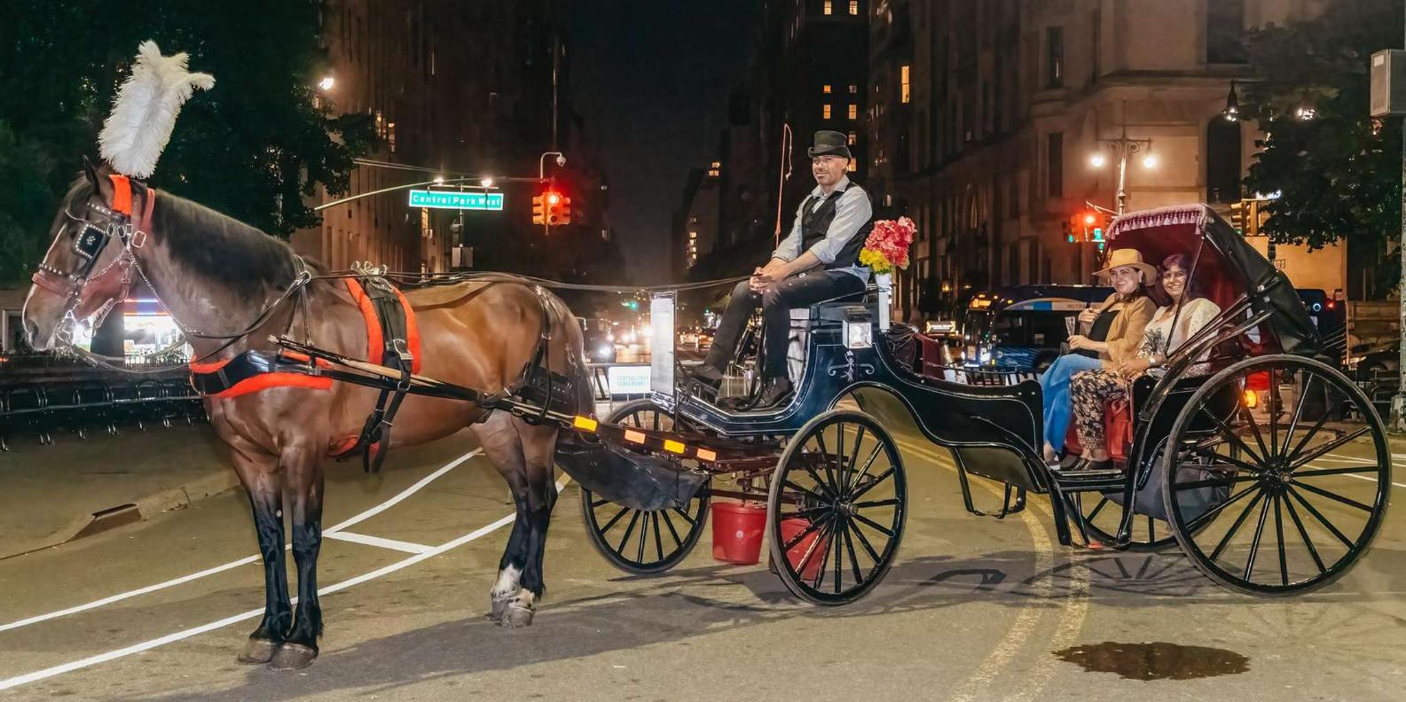 New York City Central Park Moonlight Horse Carriage Ride - Image 3