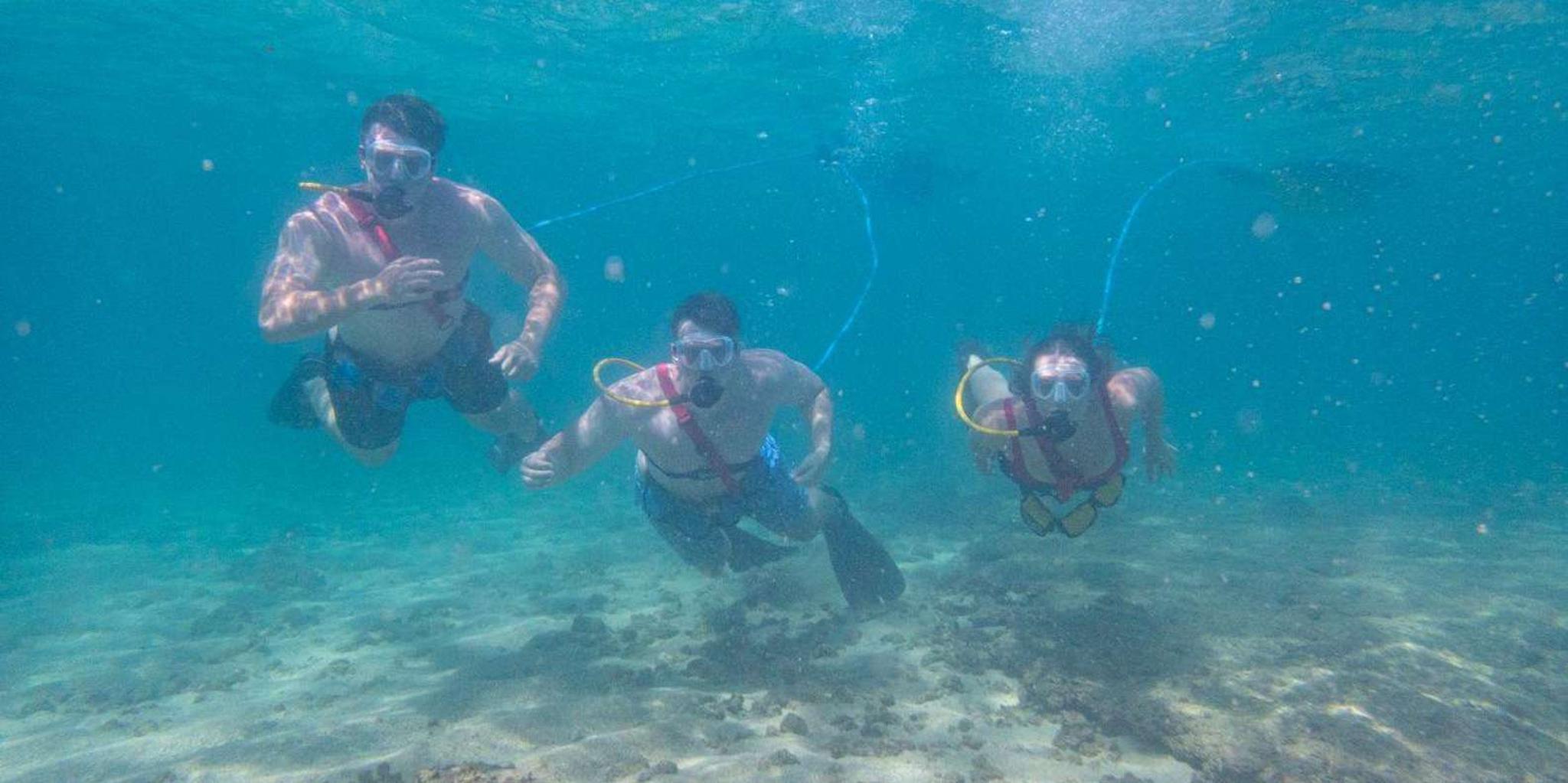Kauai SNUBA Diving Experience - Image 4