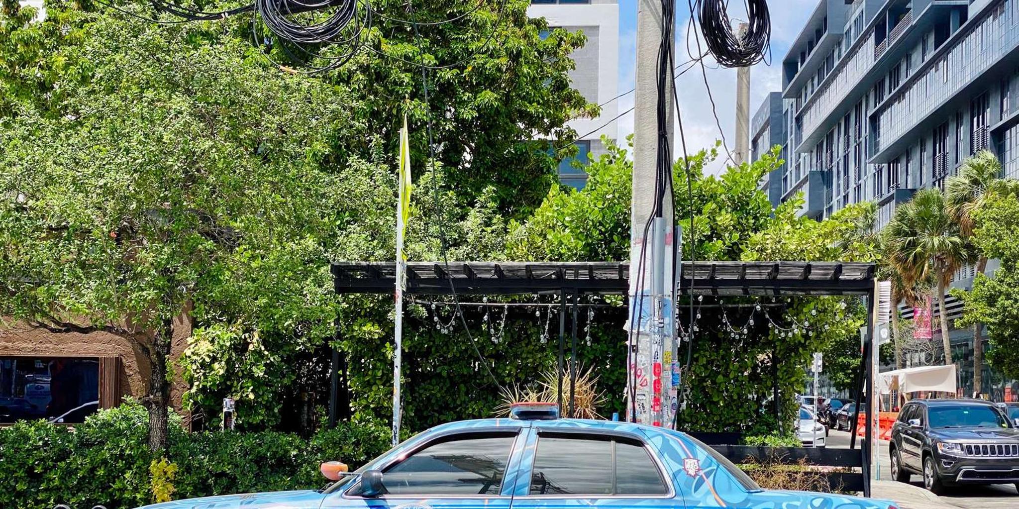 Miami Wynwood Walking Tour in French 2 hr - Image 4
