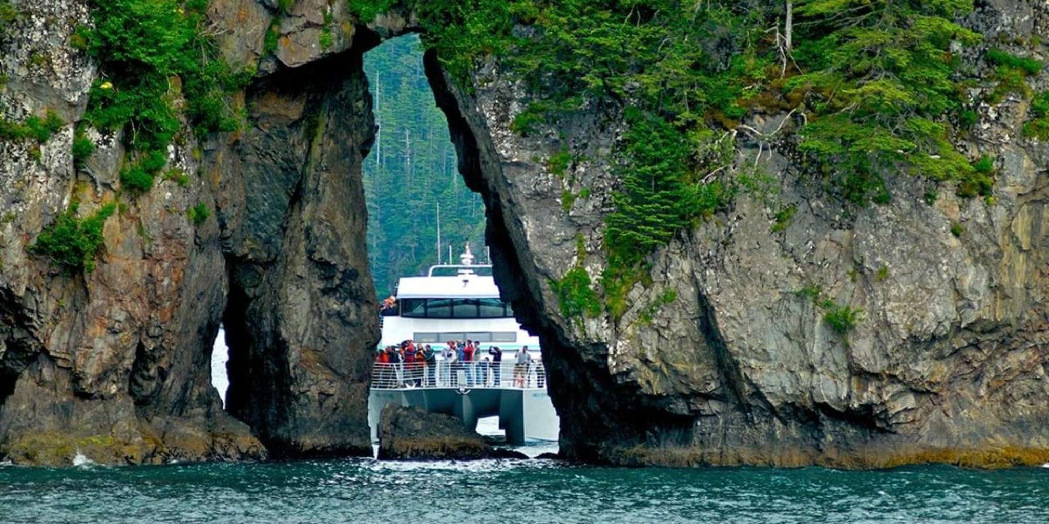 Seward Kenai Fjords National Park Cruise 7 hr - Image 3