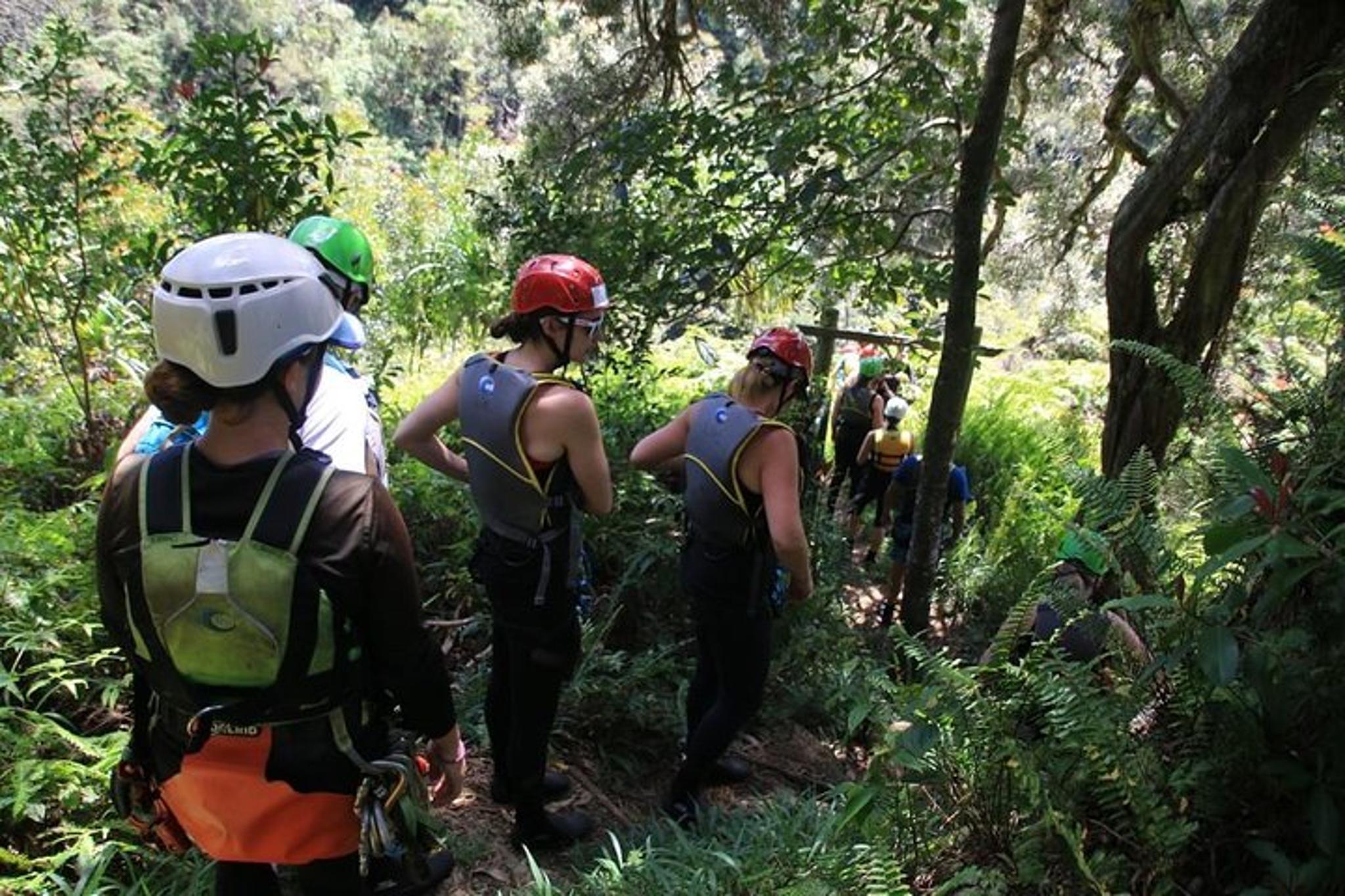 Maui Rappel Adventure in Rainforest - Image 1