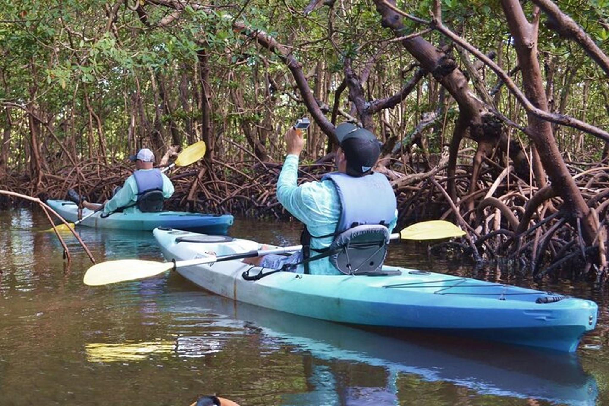 Marco Island Mangrove Kayak Tour with Photographer - Image 3