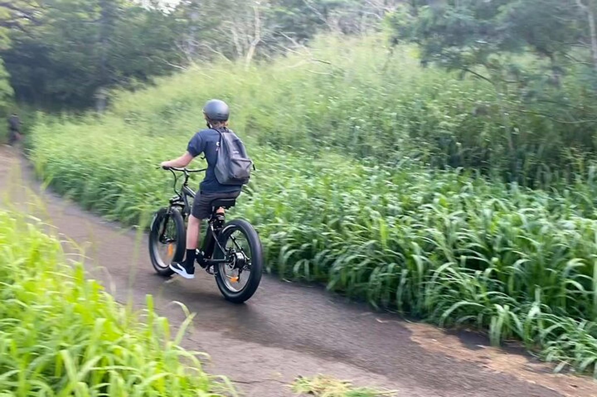 West Maui Self-Guided Electric Bike Tour 2 hr - Image 6