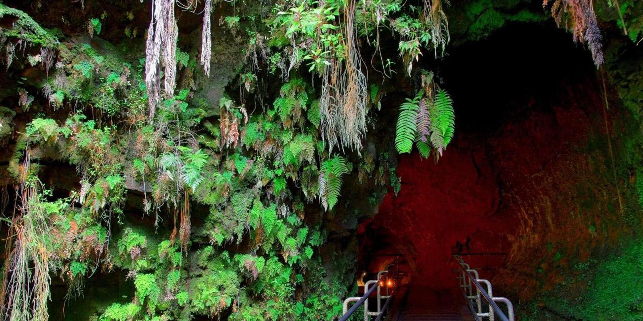 Hilo Volcano and Waterfall Tour with Lunch - Image 3