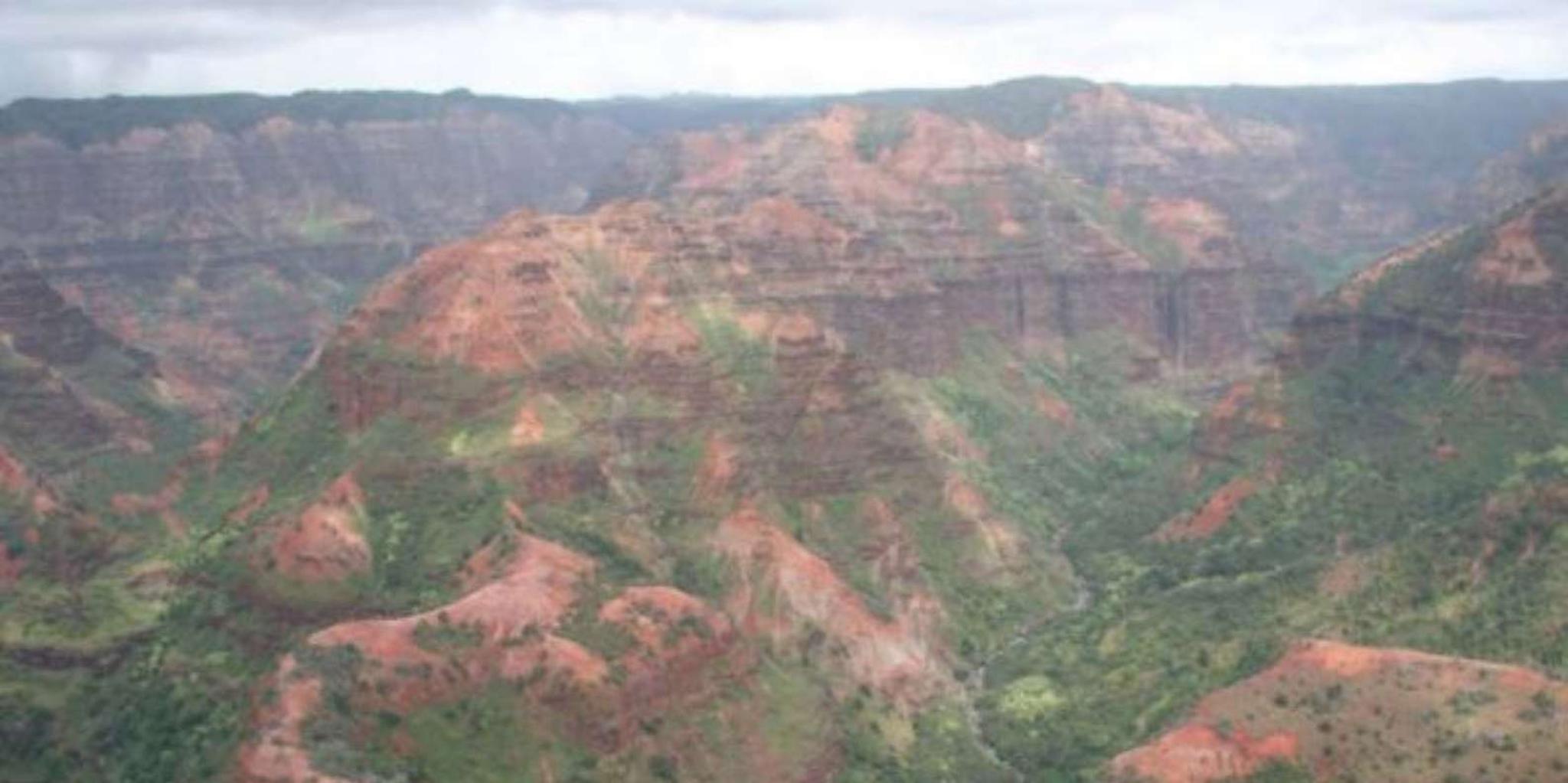 Kauai Waimea Canyon and Waterfall Day Tour - Image 3