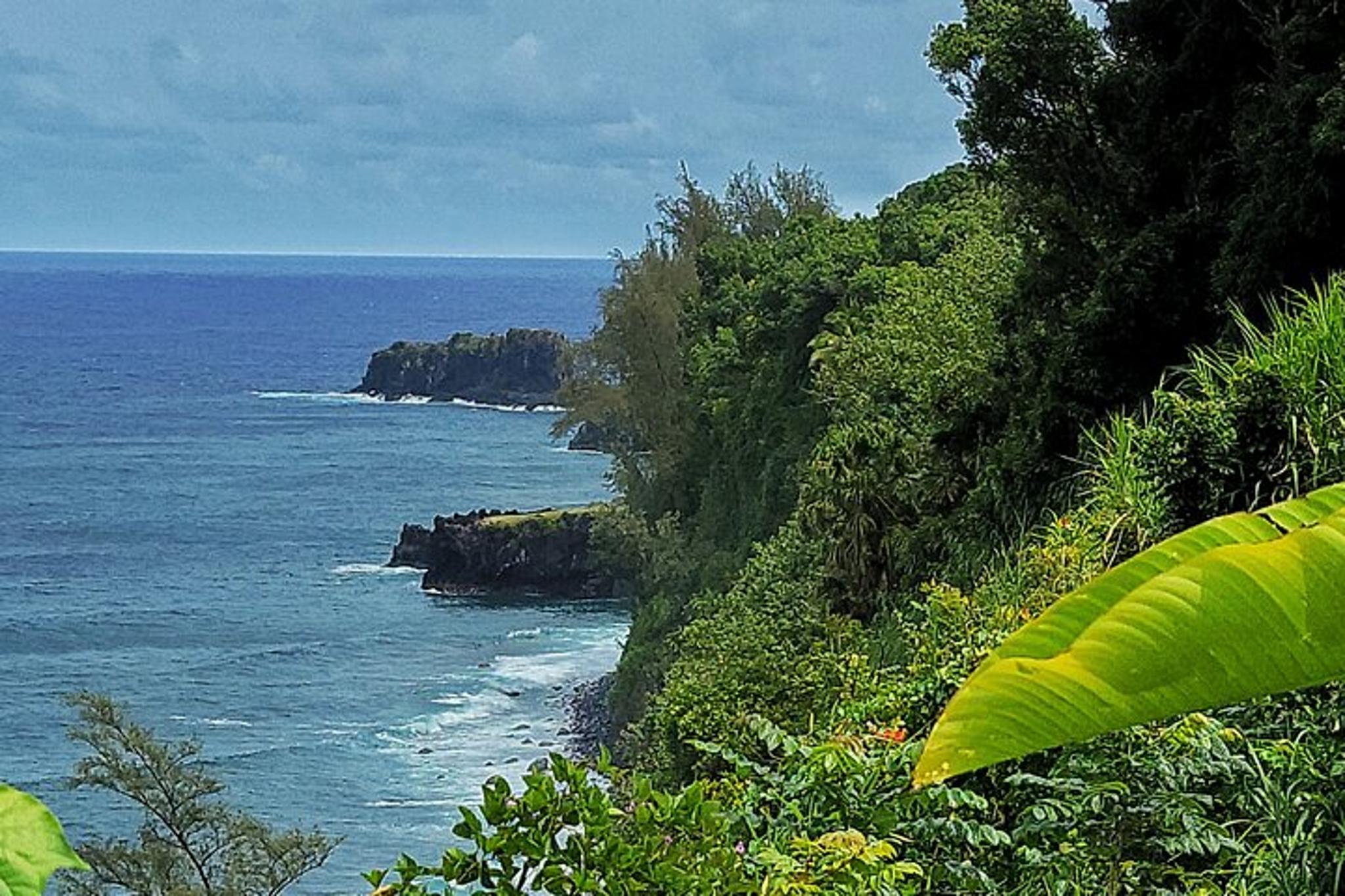 Maui Road to Hana Private Tour - Image 4
