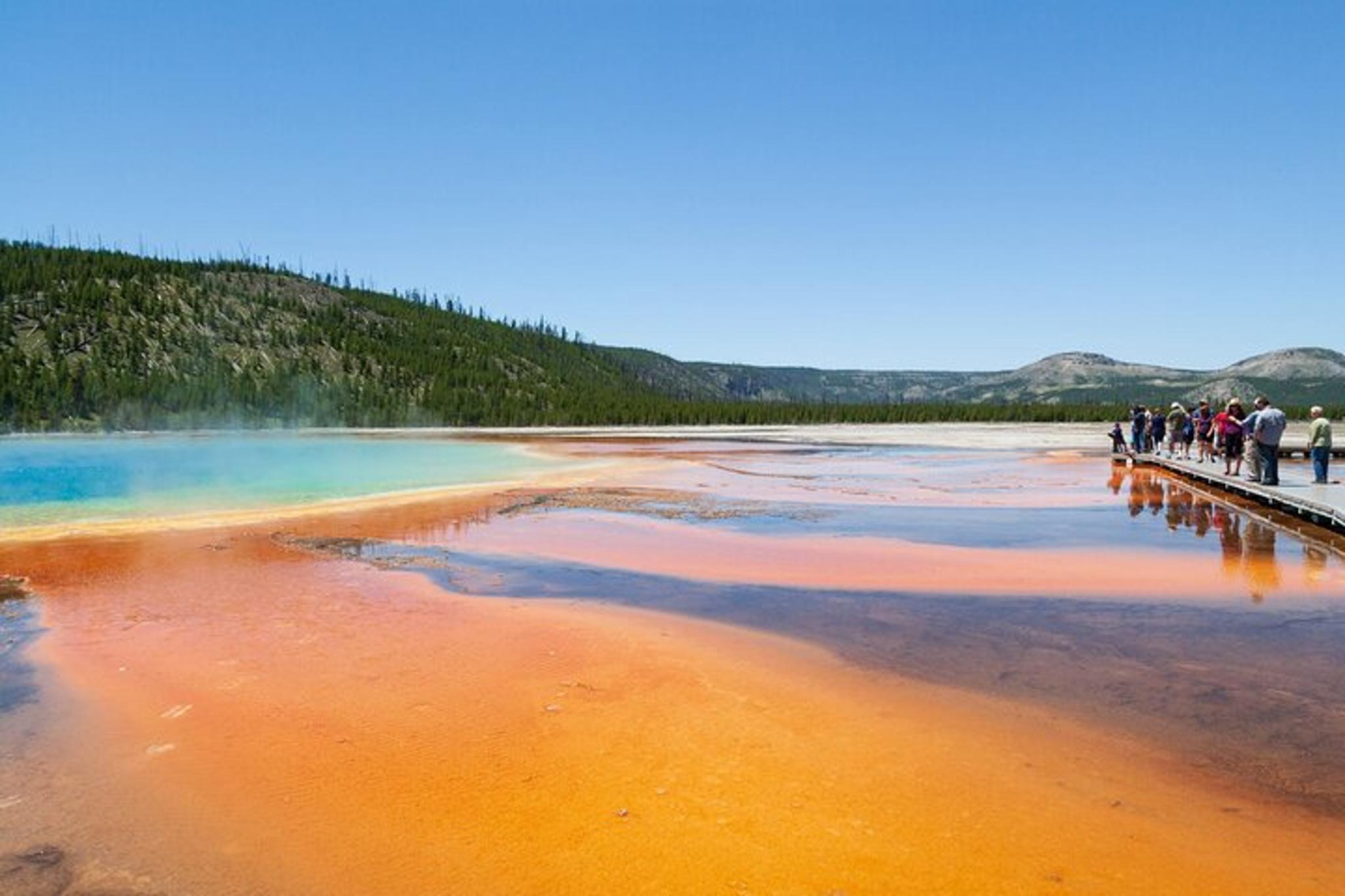 Cody Yellowstone National Park Full Day Tour