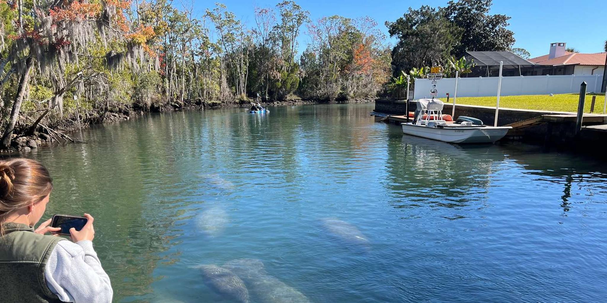 Crystal River Manatee Eco-Tour Boat Ride - Image 3