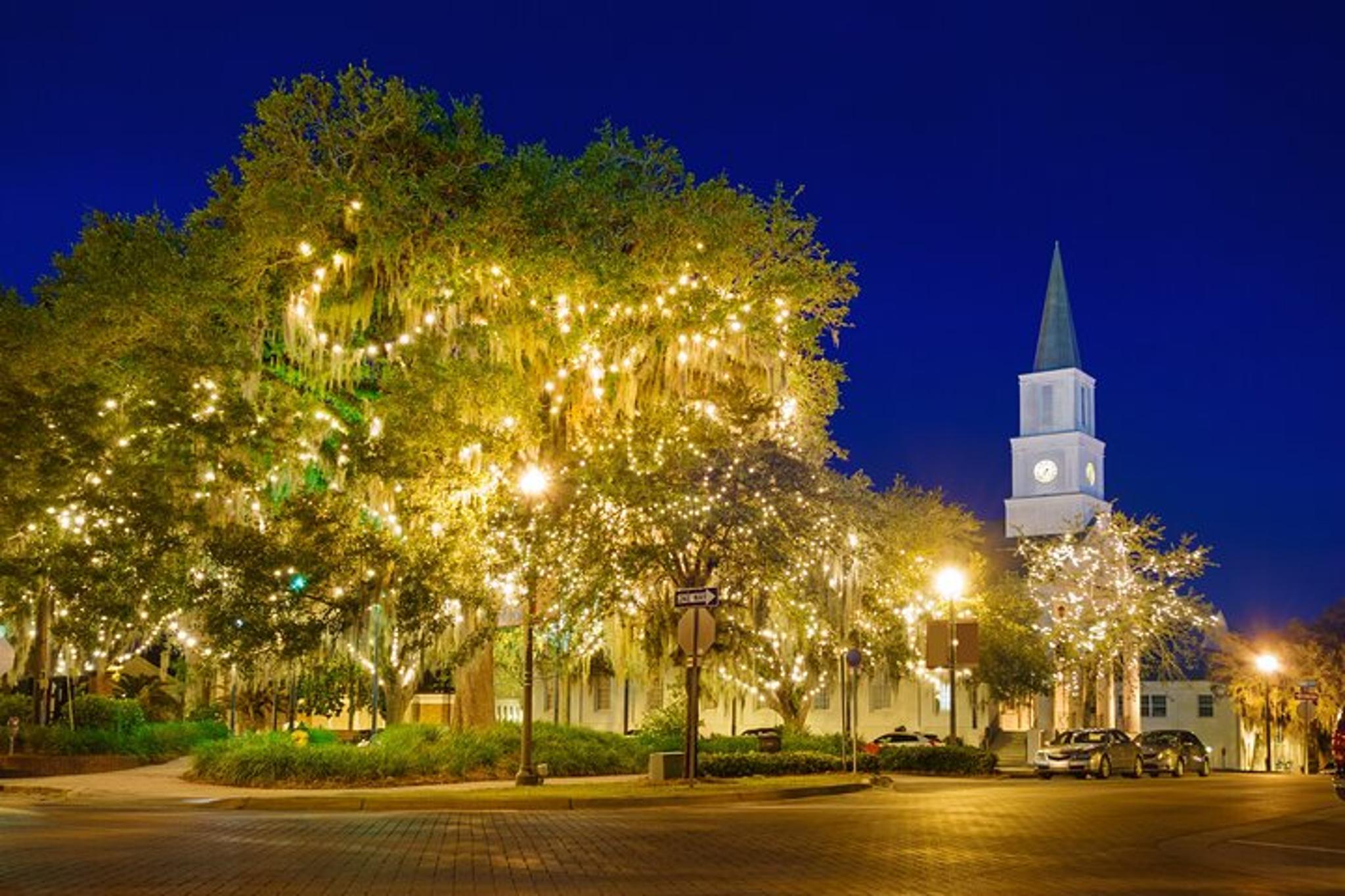 Tallahassee Art and Parks Christmas Tour - Image 6