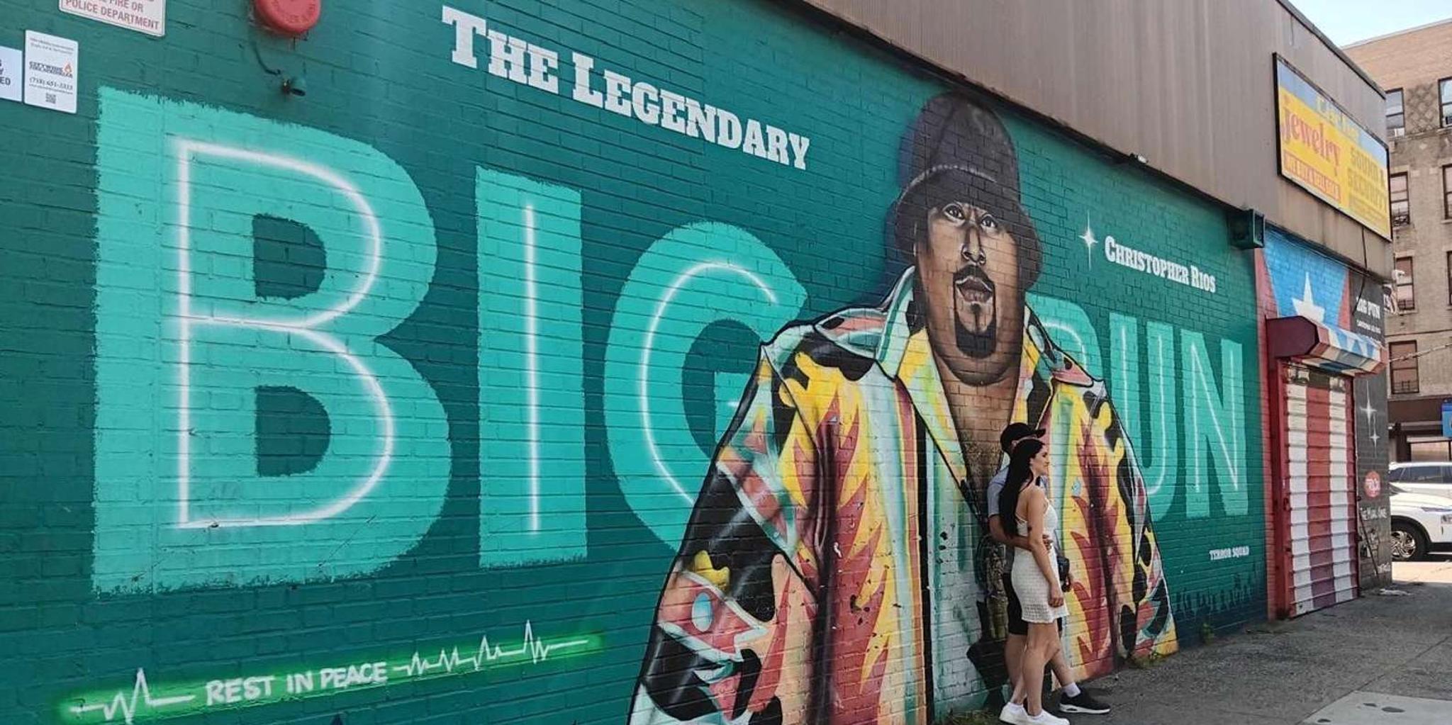 New York Contrasts Tour Harlem to Brooklyn 5 hr - Image 2