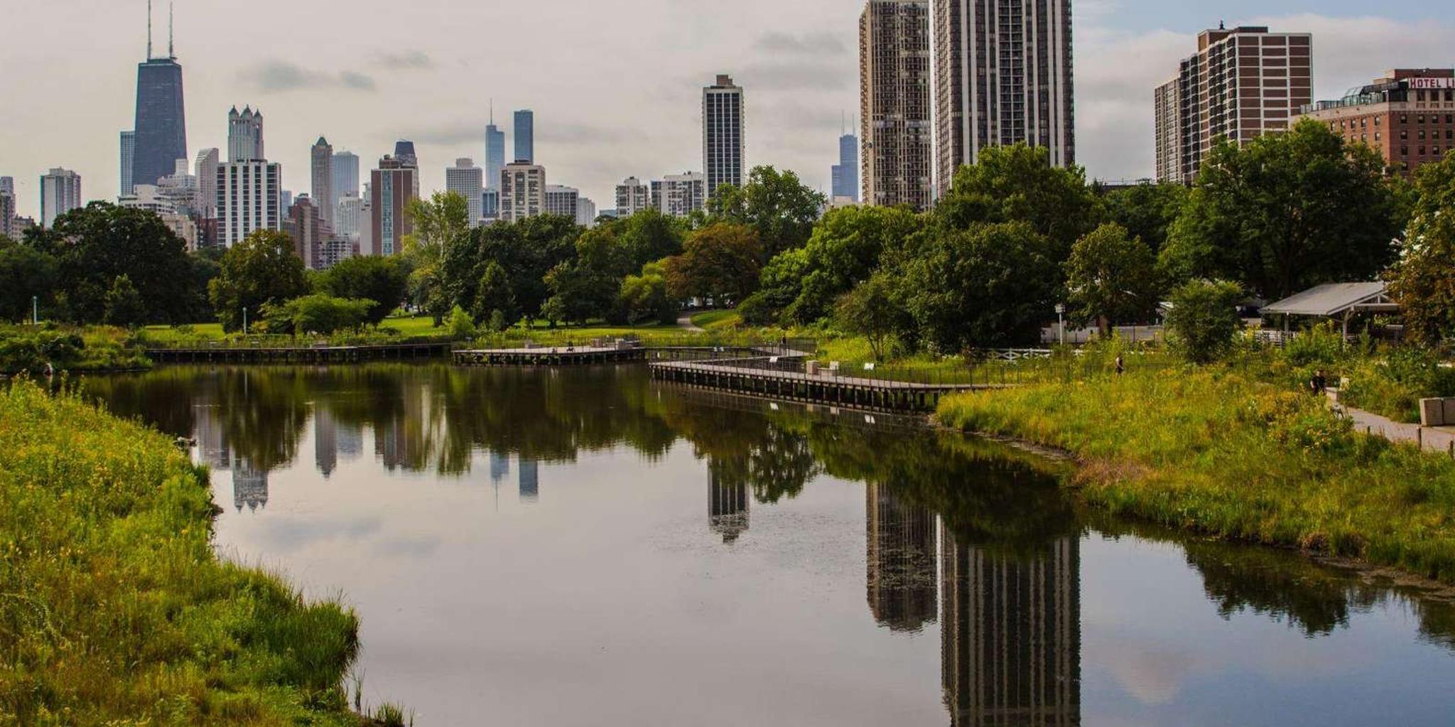 Chicago Neighborhoods Discovery Tour - Image 5