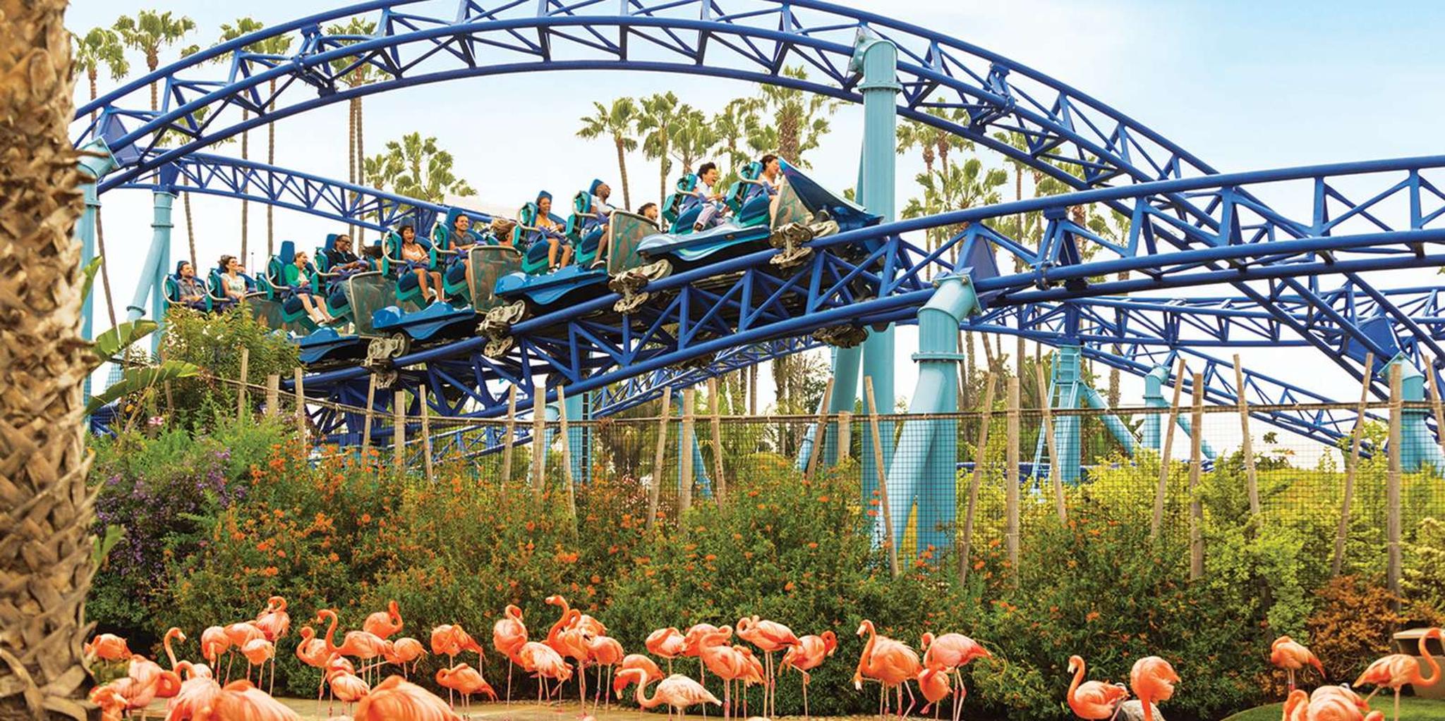 San Diego SeaWorld Park Admission - Image 1
