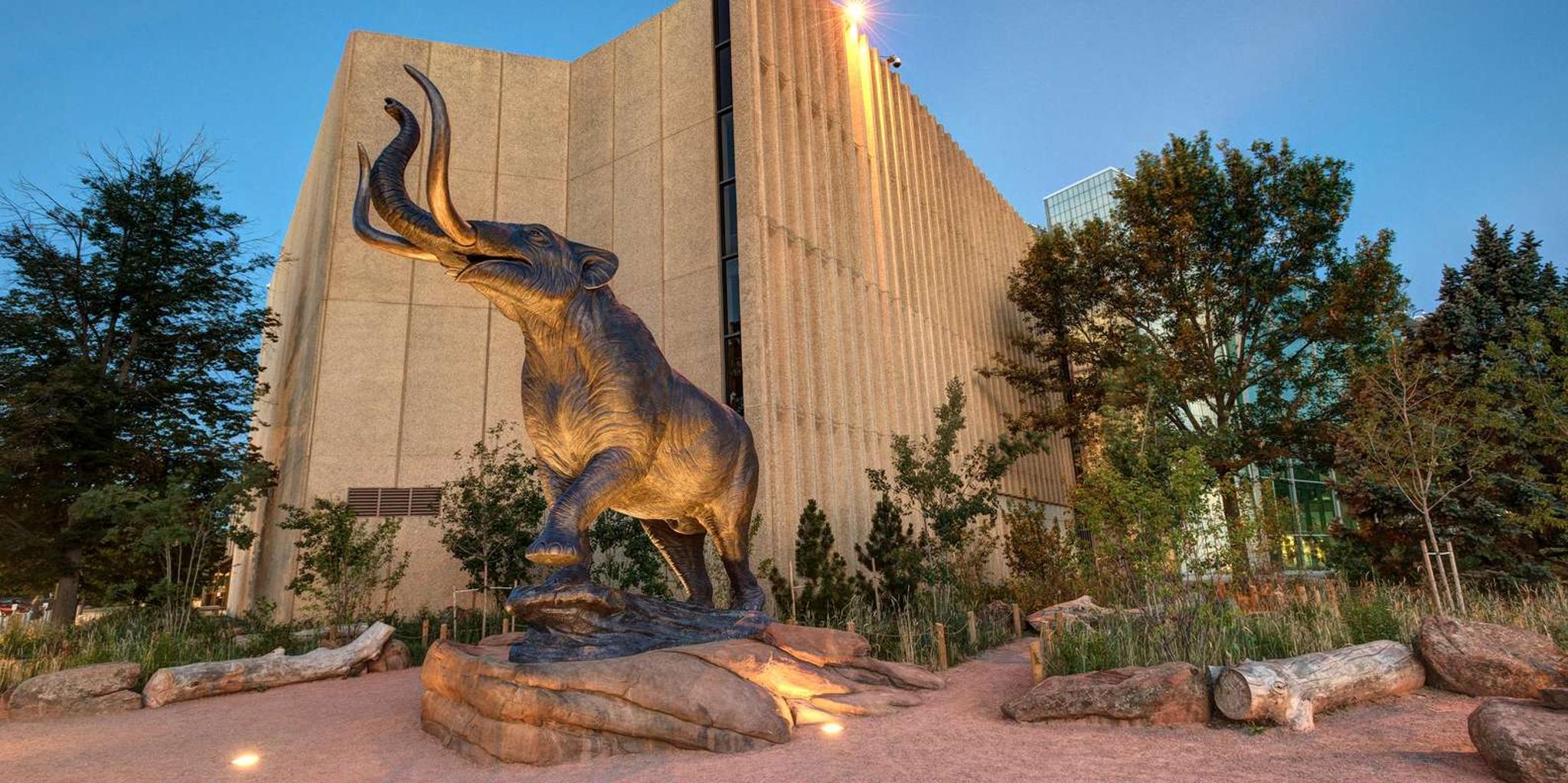Denver Museum of Nature and Science Entry Ticket - Image 6