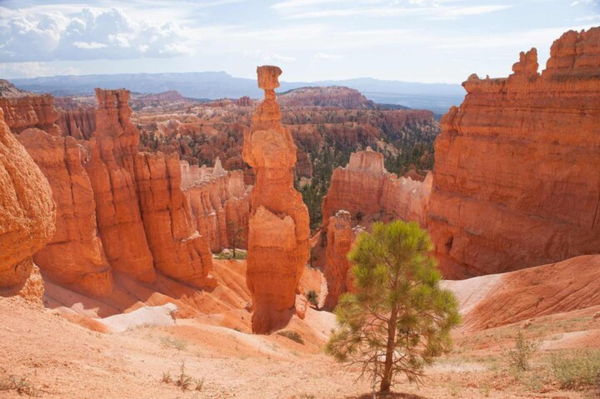 Las Vegas Bryce Canyon and Zion National Park Tour - Image 6