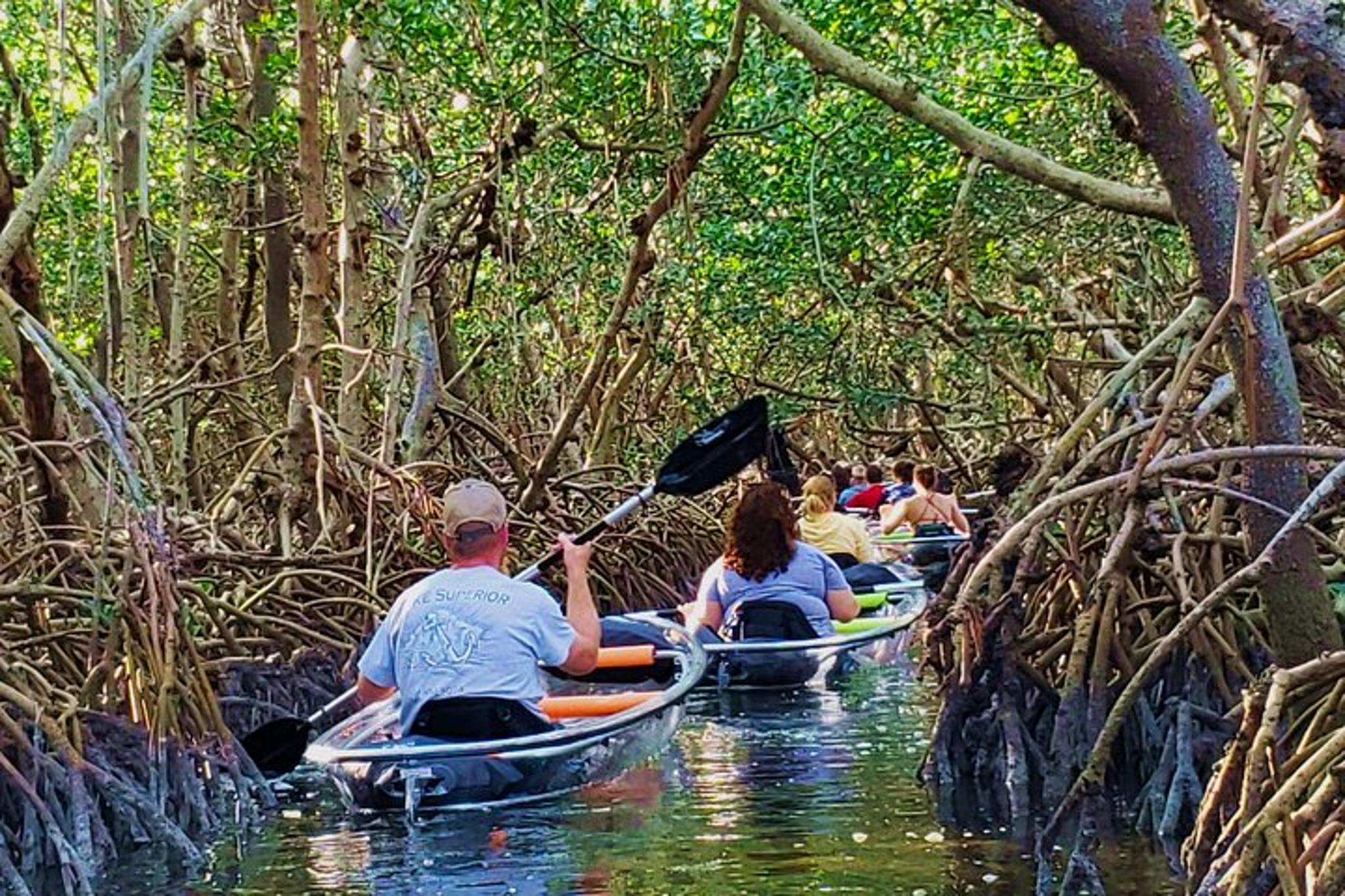 St. Pete Clear Kayak Tour in Shell Key