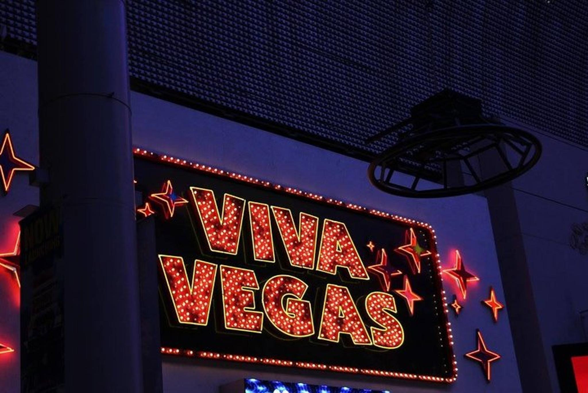 Las Vegas Virtual Scorpion and Black Widow Hunt - Image 6