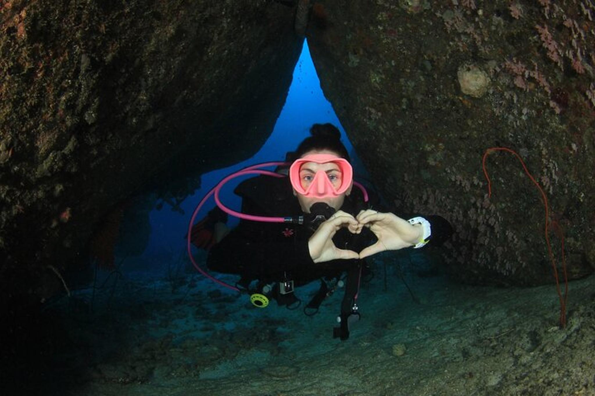 Key Largo Scuba Dive for Certified Divers 4 hr - Image 2