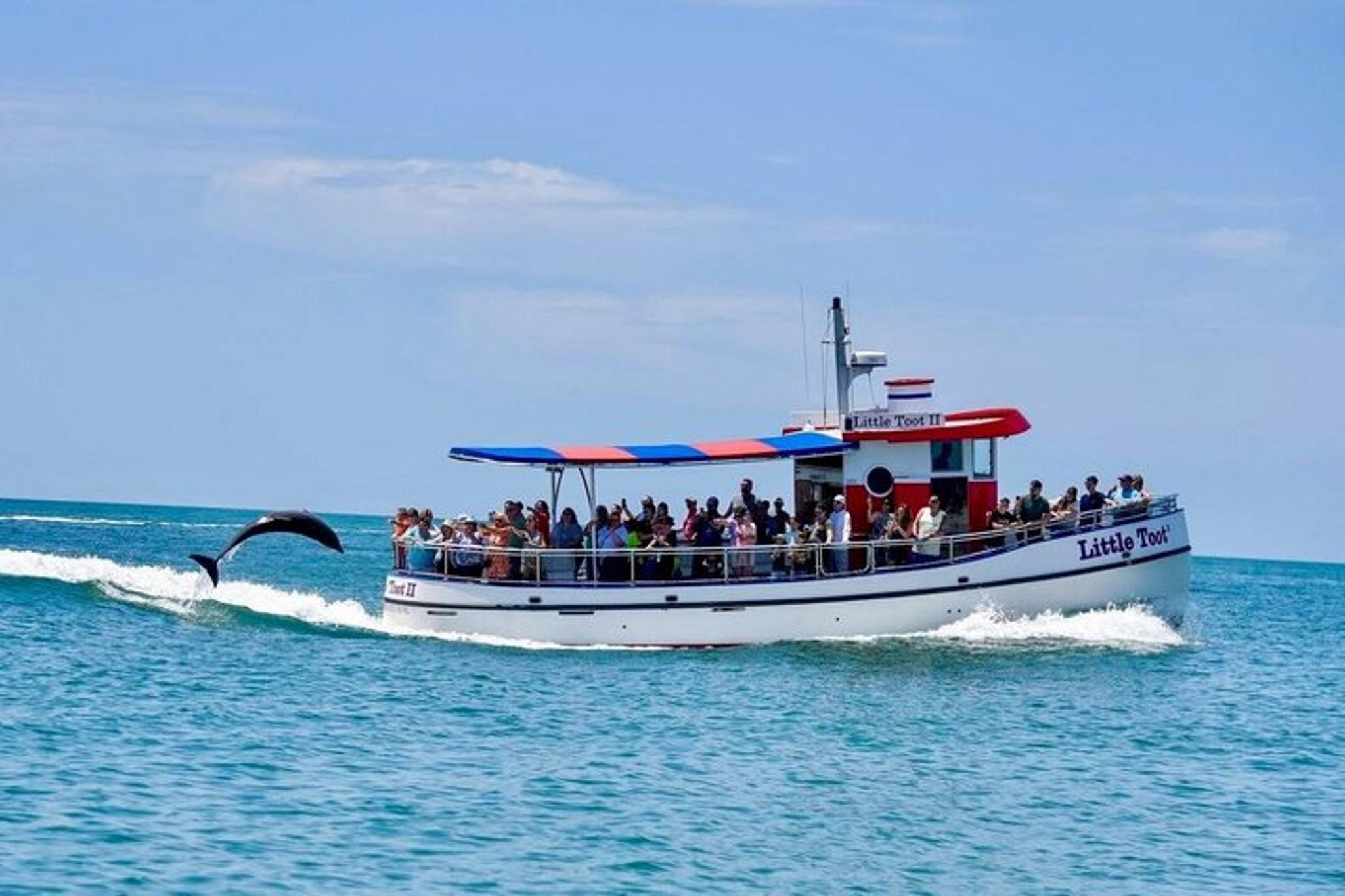Clearwater Beach Dolphin Adventure