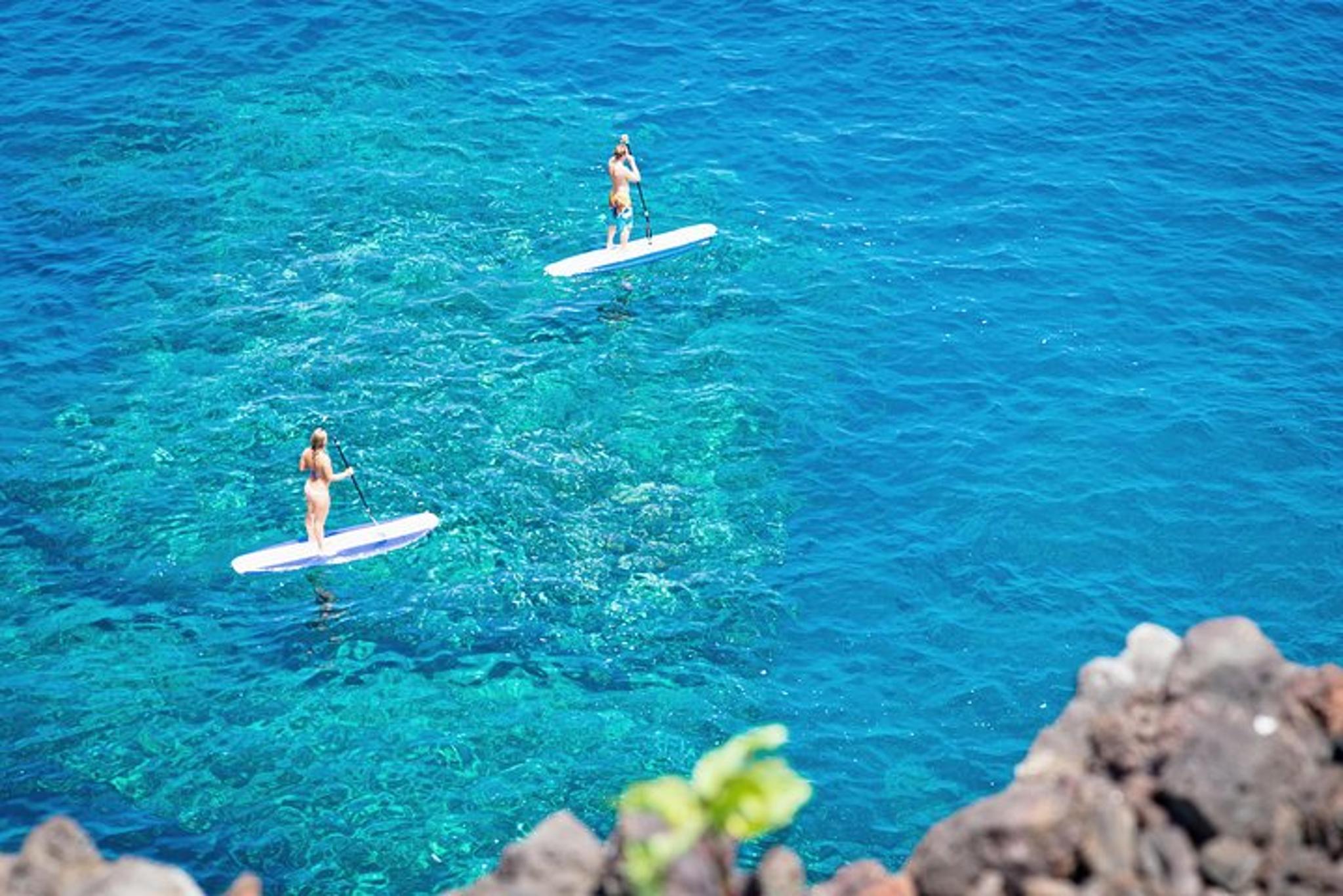Kona Coast Snorkel Tour with Lunch - Image 3