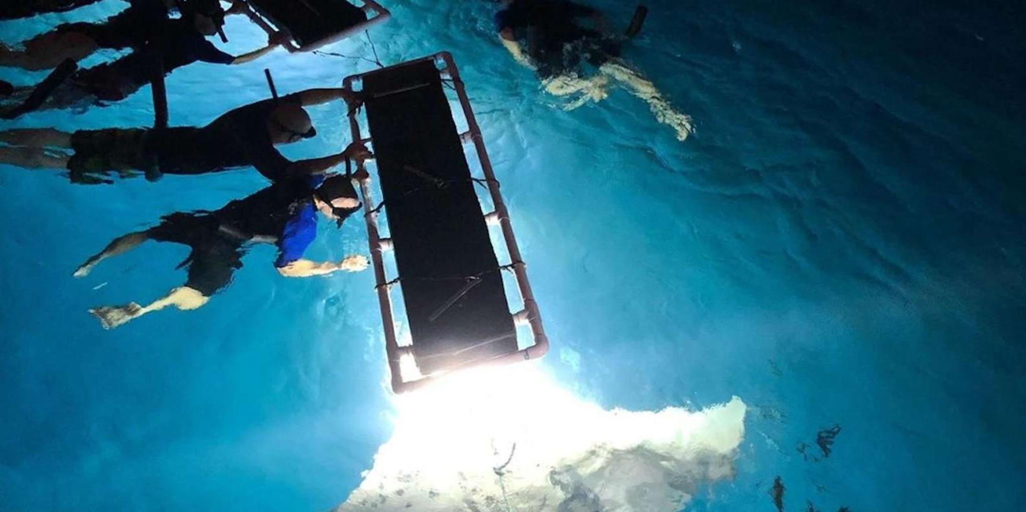 Kailua-Kona Manta Ray Snorkeling Adventure - Image 1