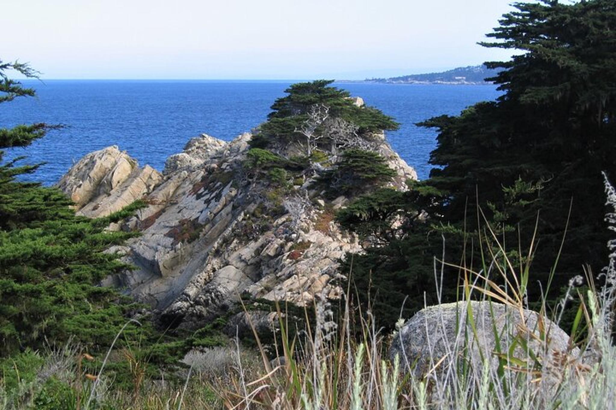 Point Lobos Nature Walk 2 hr - Image 5