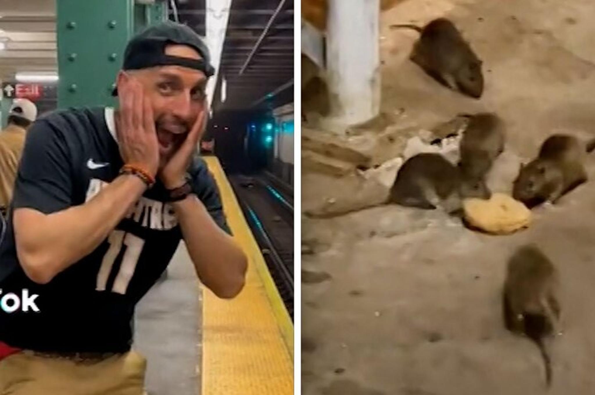New York City Rat Walking Tour