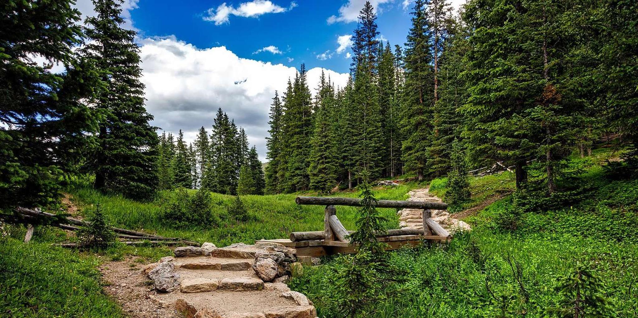 Denver Hiking Tour in the Rocky Mountains - Image 4