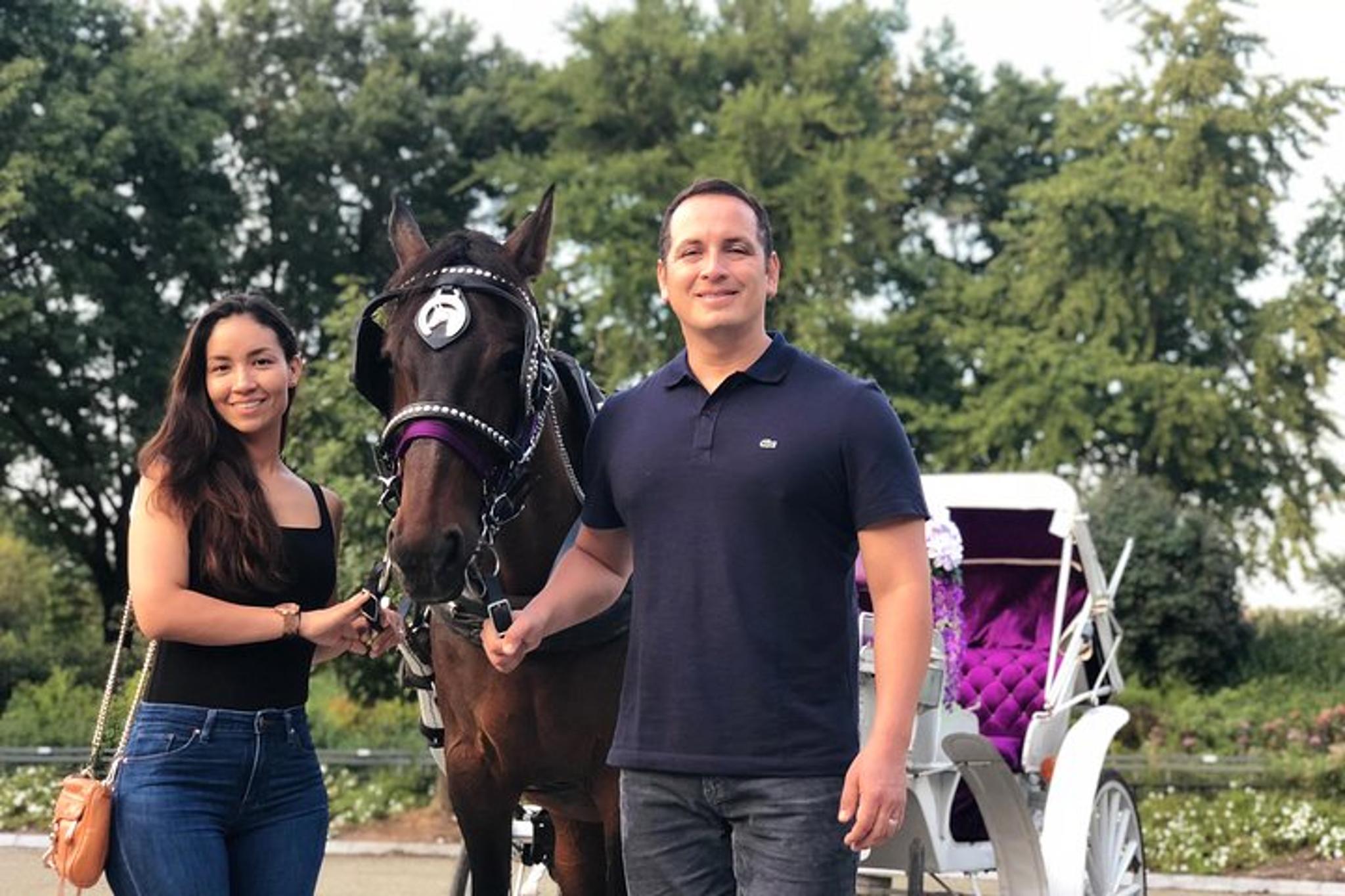 New York City Carriage Ride 55 Min - Image 2