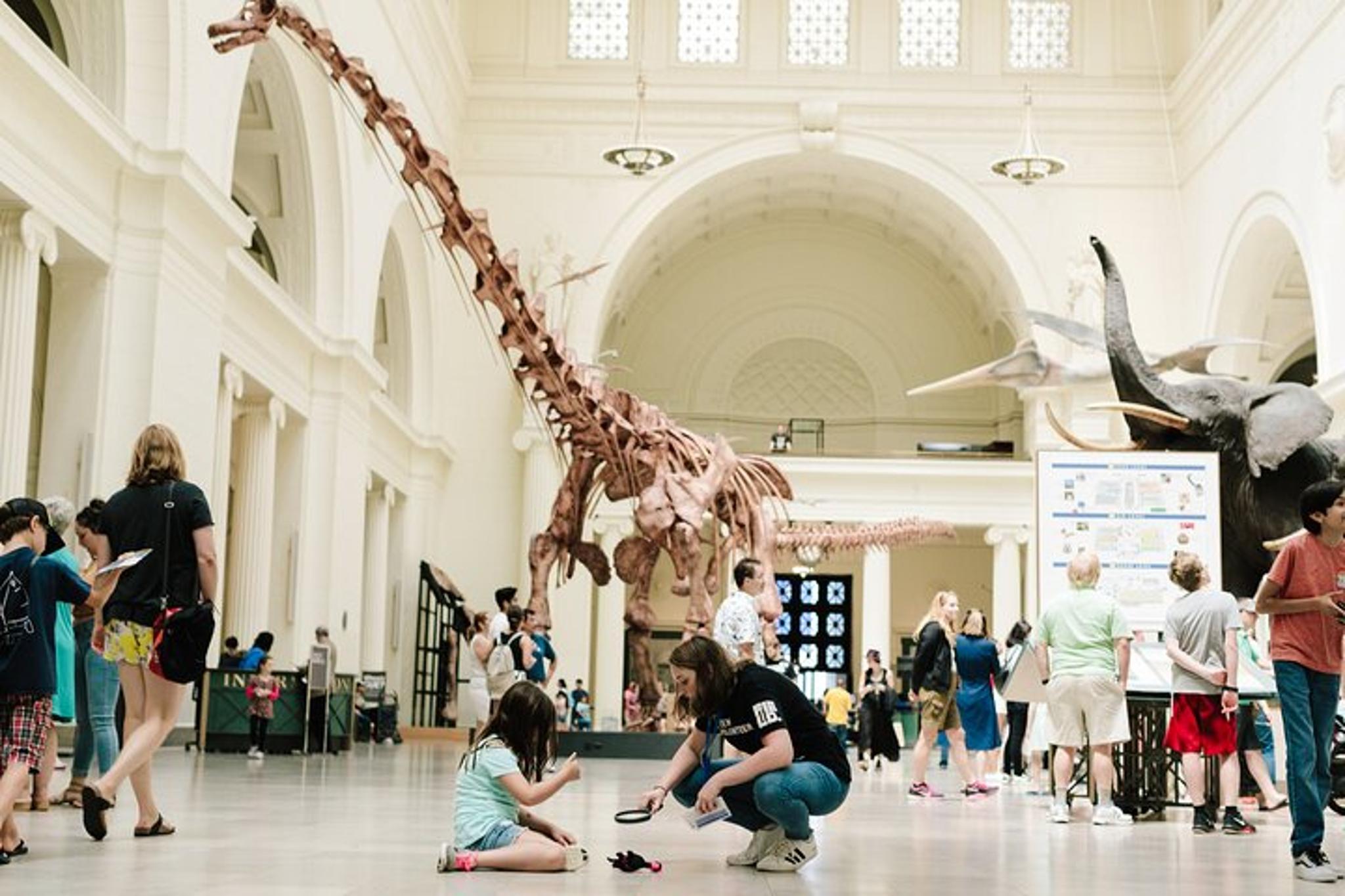 Chicago Field Museum Early Access Tour - Image 4
