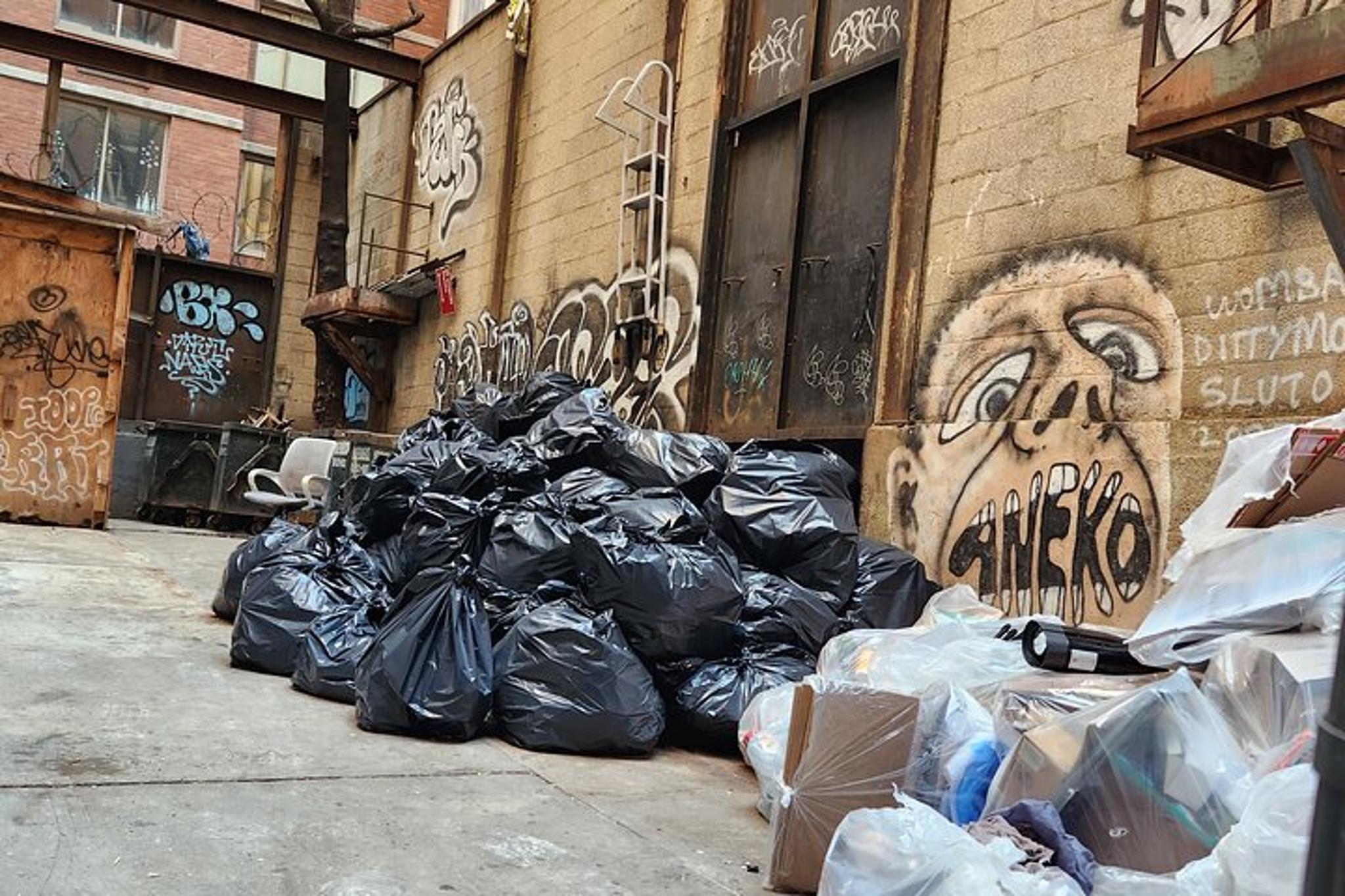 New York City Garbage and Rats Walking Tour - Image 4