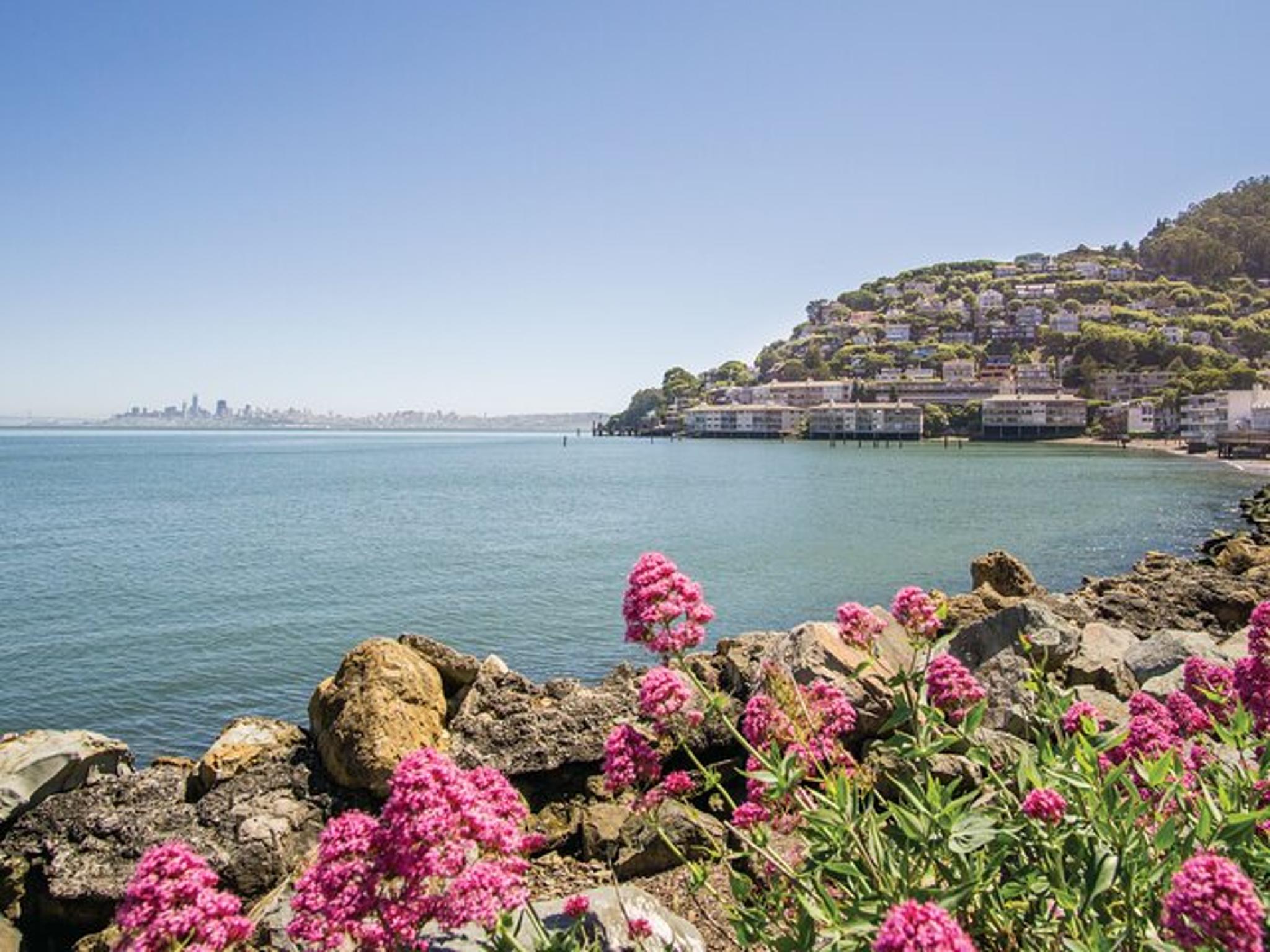 San Francisco Muir Woods and Sausalito Tour - Image 4