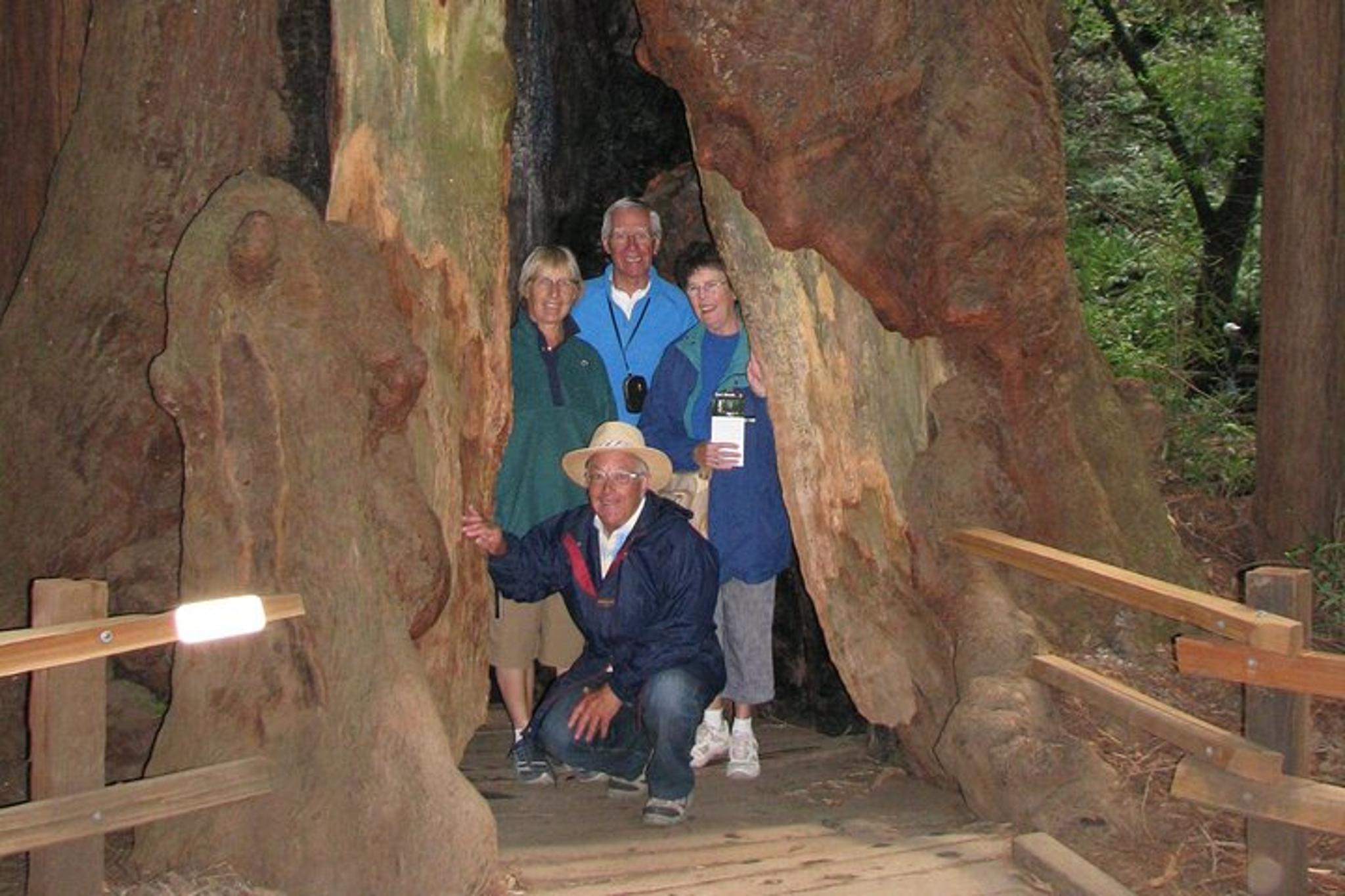 San Francisco Muir Woods and Wine Country Tour 8 hr - Image 5