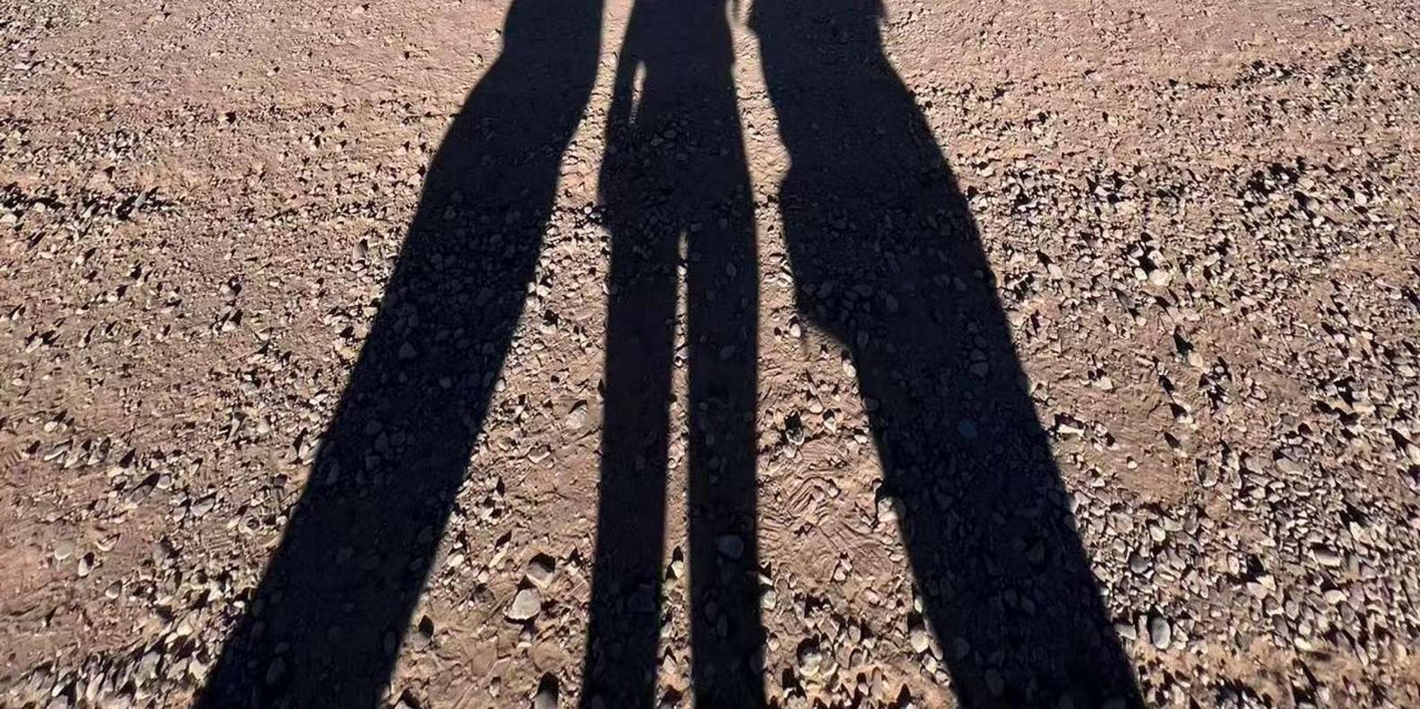 Las Vegas Valley of Fire and Seven Magic Mountains Tour - Image 6