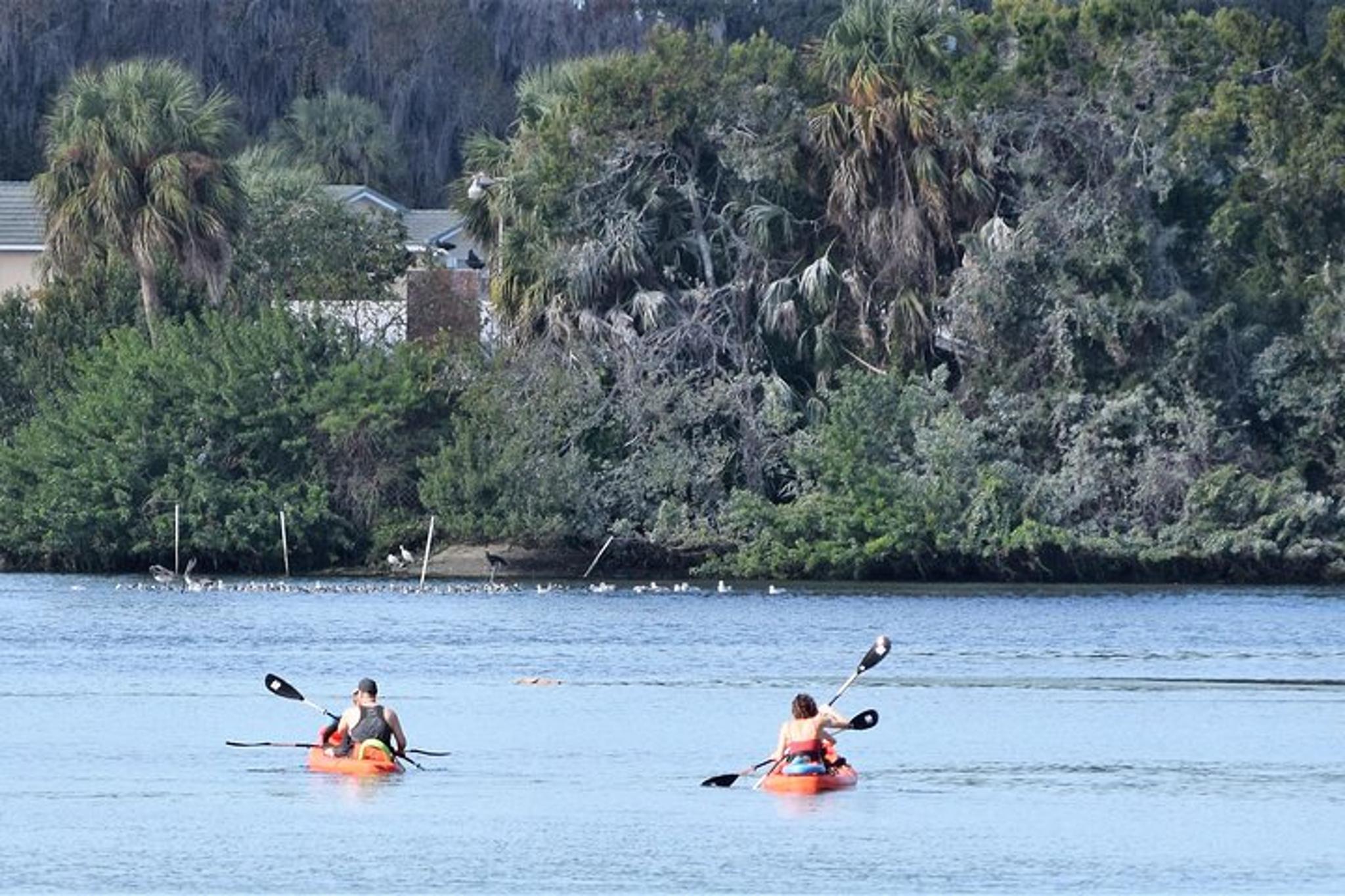 Crystal River Tandem Kayak Rental - Image 4