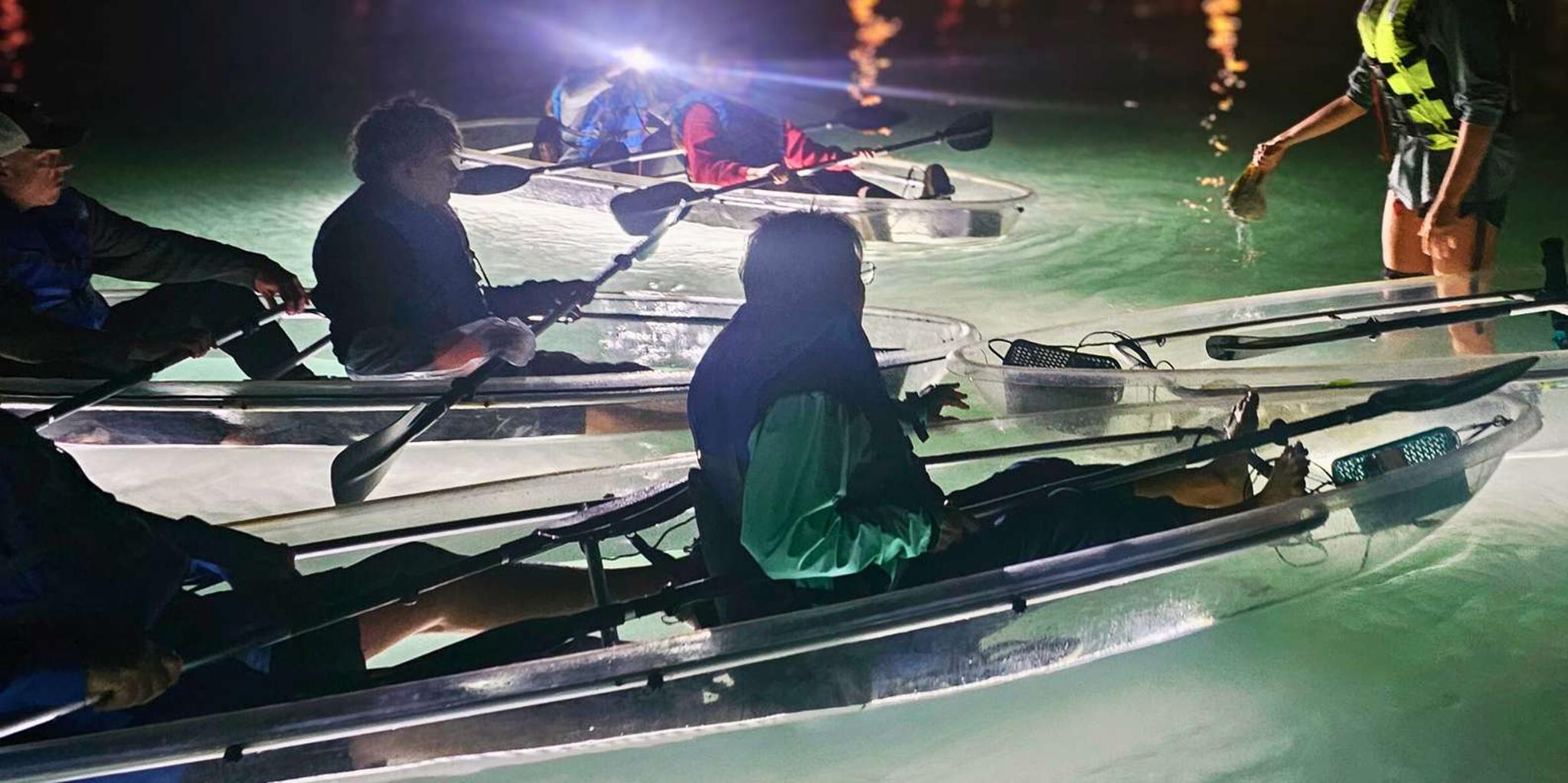 Sarasota Clear Kayak LED Night Tour - Image 3