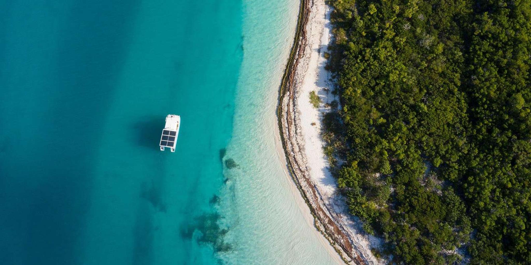 Key West Dolphin Watching and Guided Snorkeling Tour - Image 3