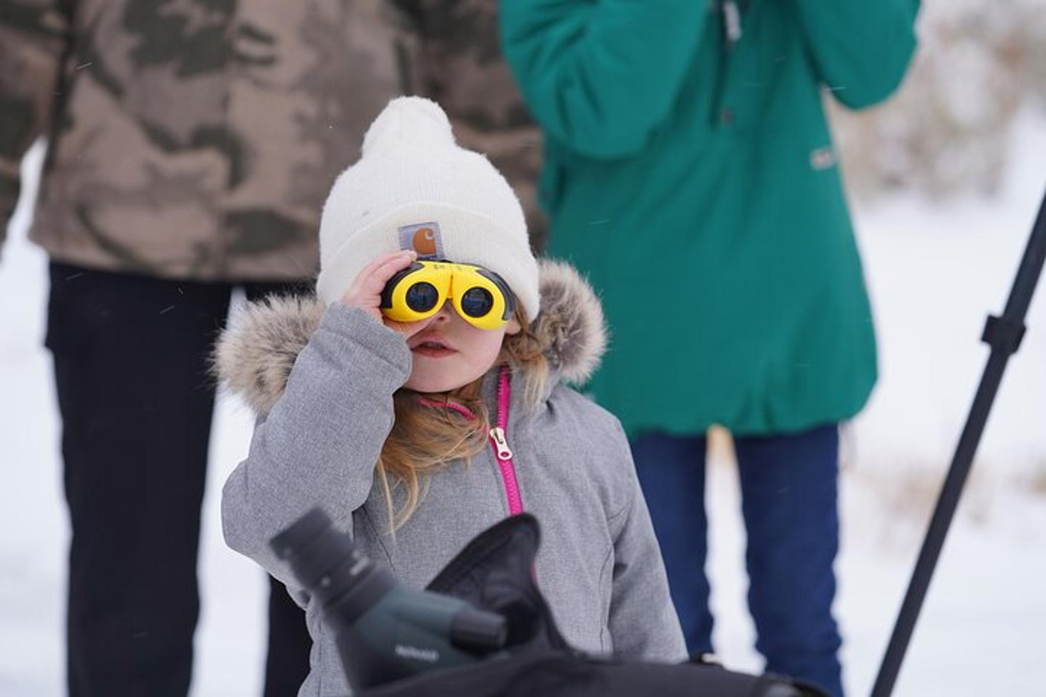 Jackson Hole Winter Wildlife Safari with Picnic Lunch - Image 4