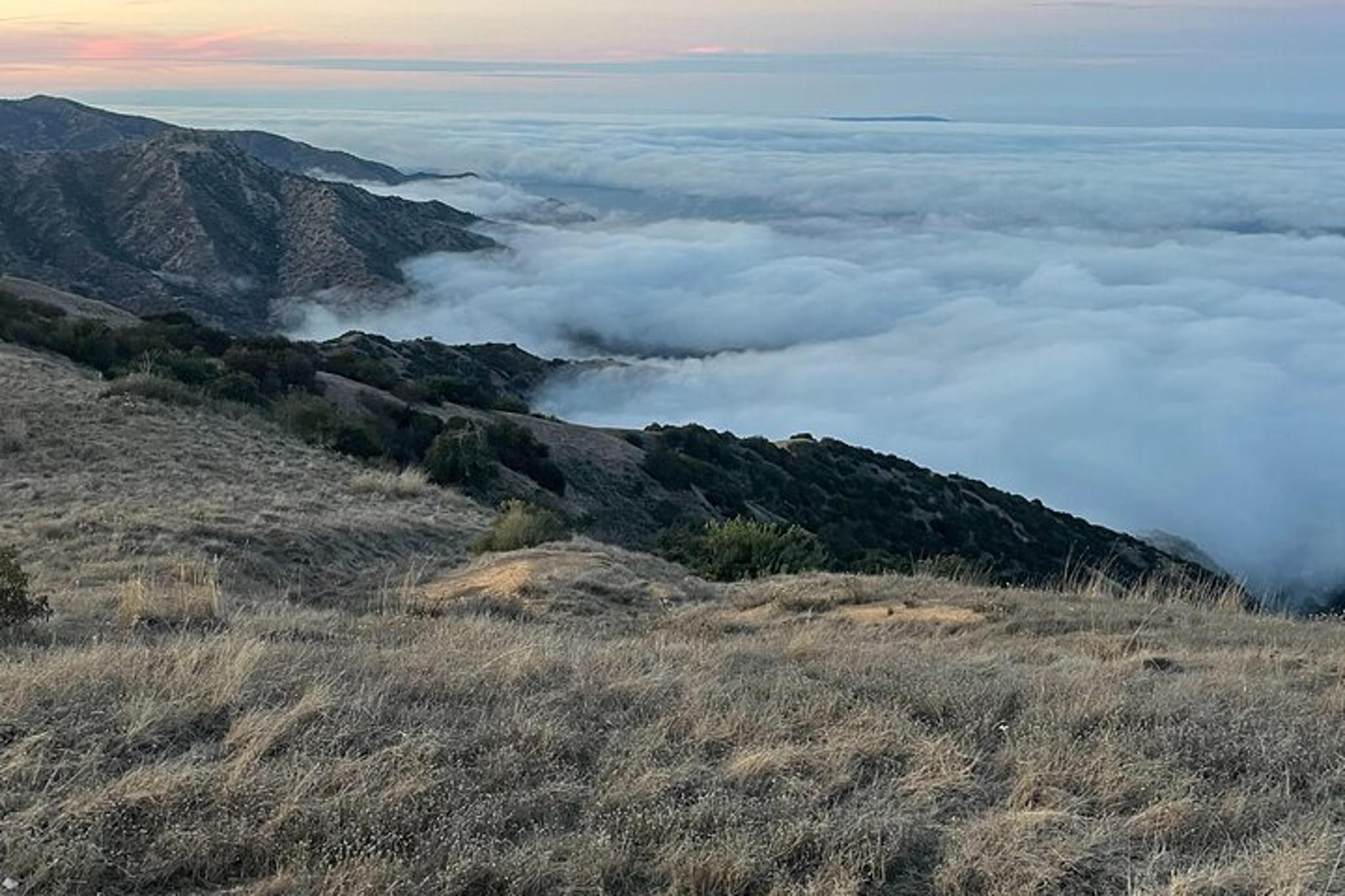 Avalon Scenic Safari Tour at Sunset 1 hr